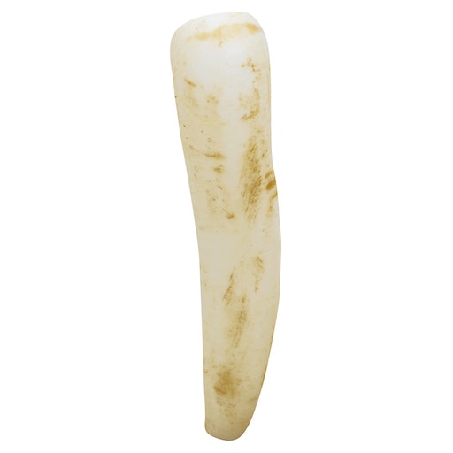 Produce Daikon | Giant Eagle | Because It Matters | Grocery Store