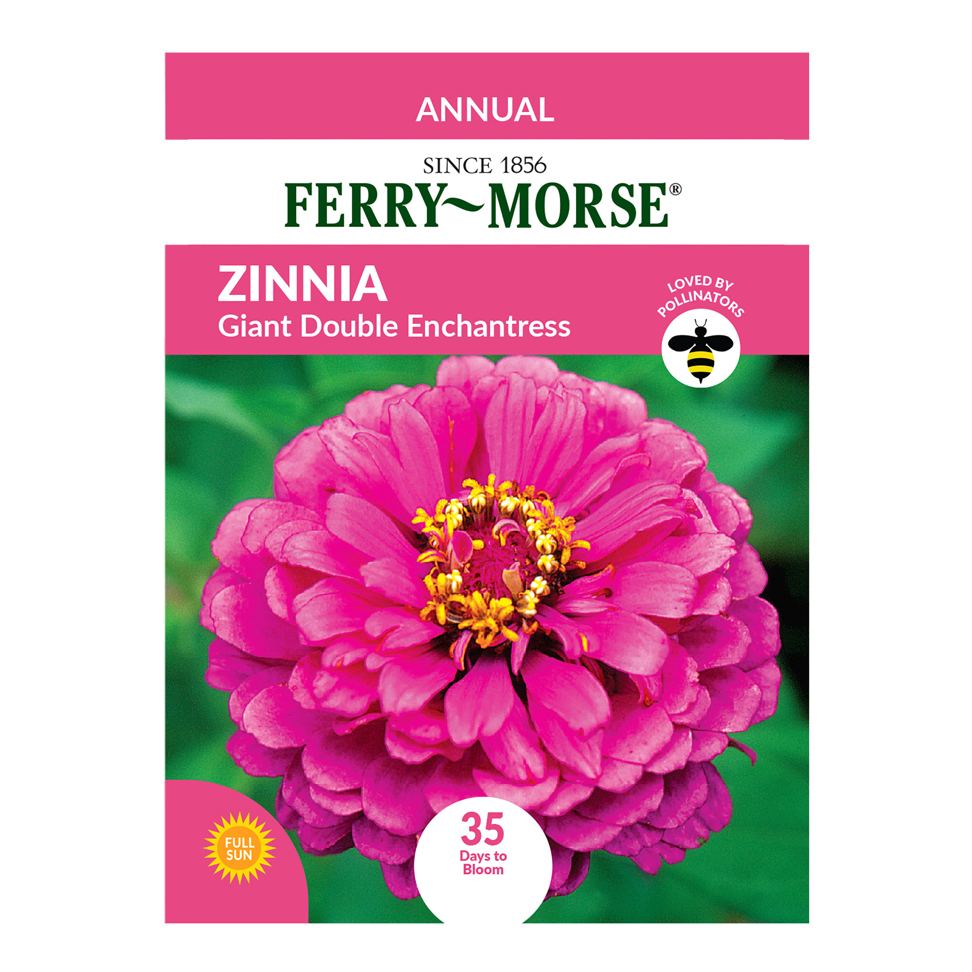 Ferry Morse Zinnia, Lilliput Mixed Color | Giant Eagle