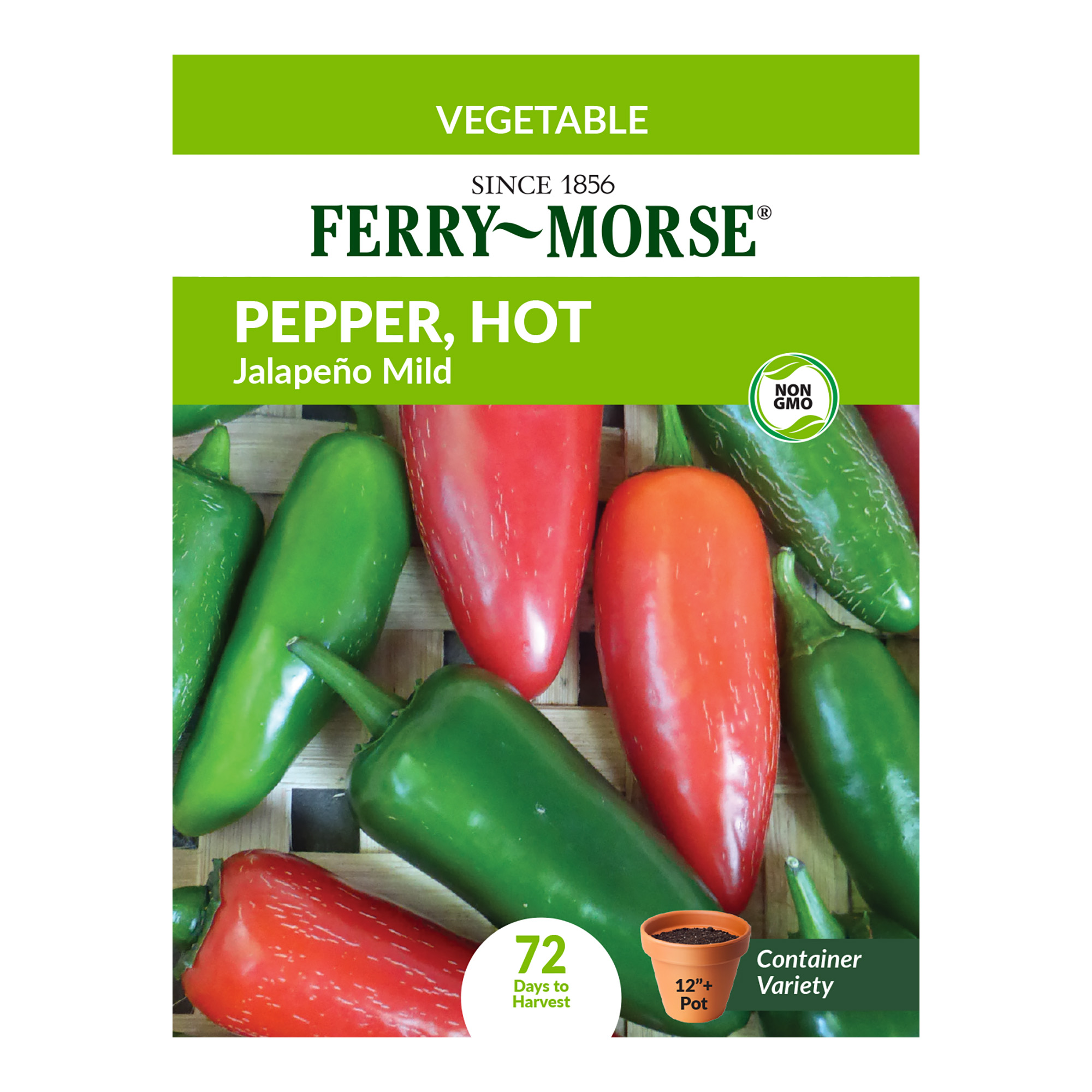 【Mサイズ】フェローズ pherrows ccmasters seabees Ferry Morse Cucumber Seeds , Marketmore 76, Organic | Giant