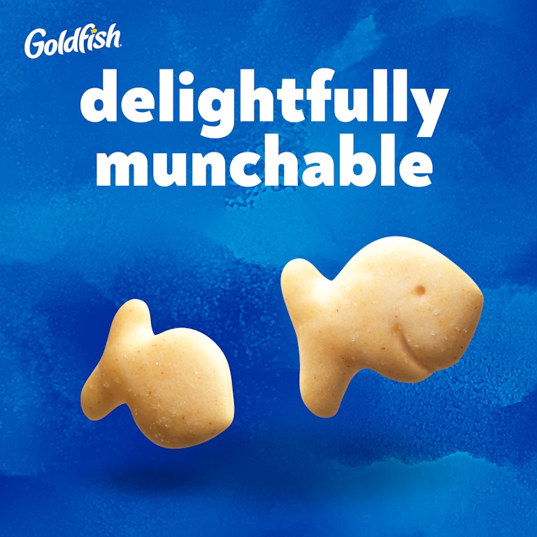 big box of gold fish 2 HUGE Pepperidge Farm Goldfish Cartons Just $8.62 Shipped on Amazon these creamy crackers come in a goldfish shape Goldfish Flavor Blasted Xtra Cheddar