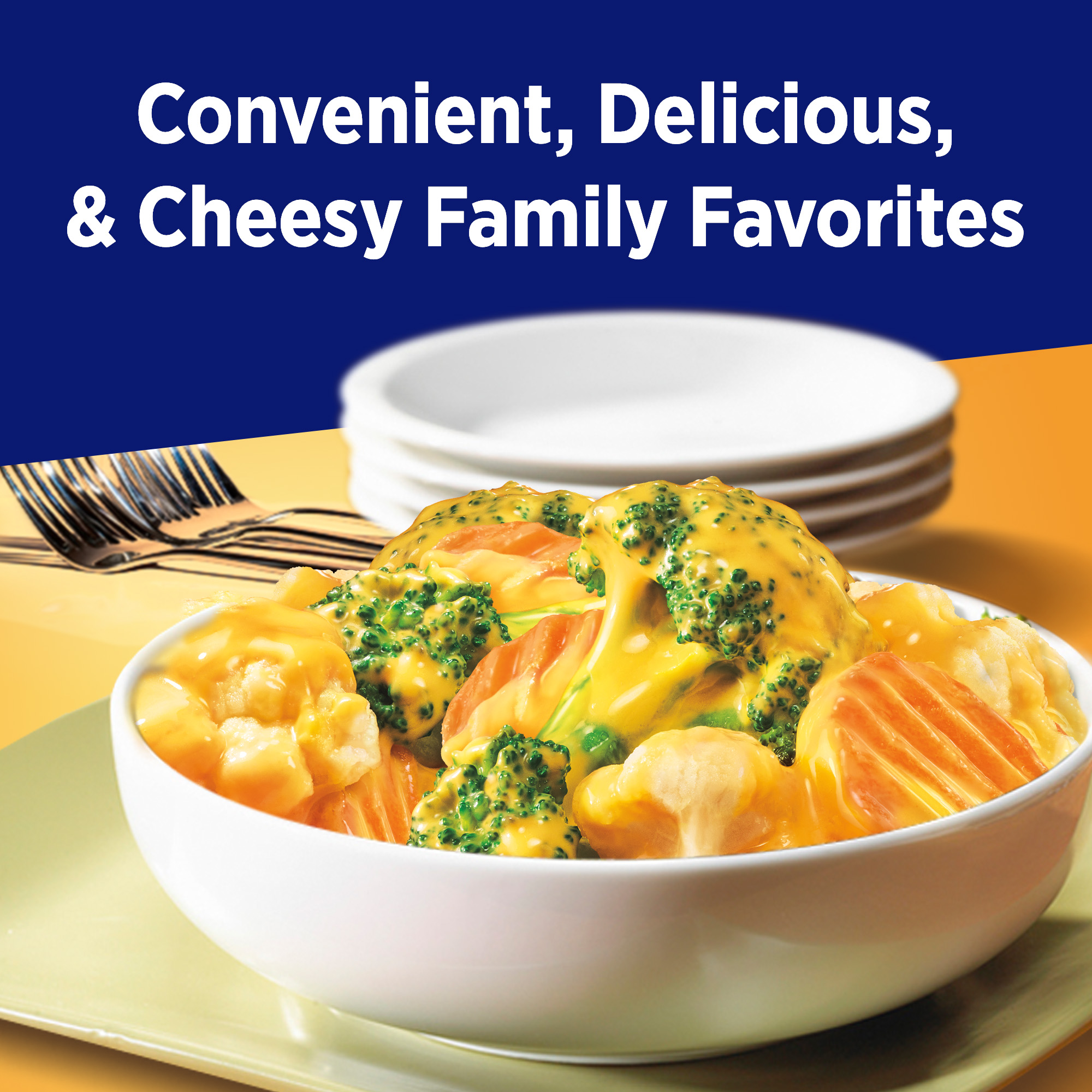 Vegetable Casserole Frozen California Blend Vegetables Soup Birds