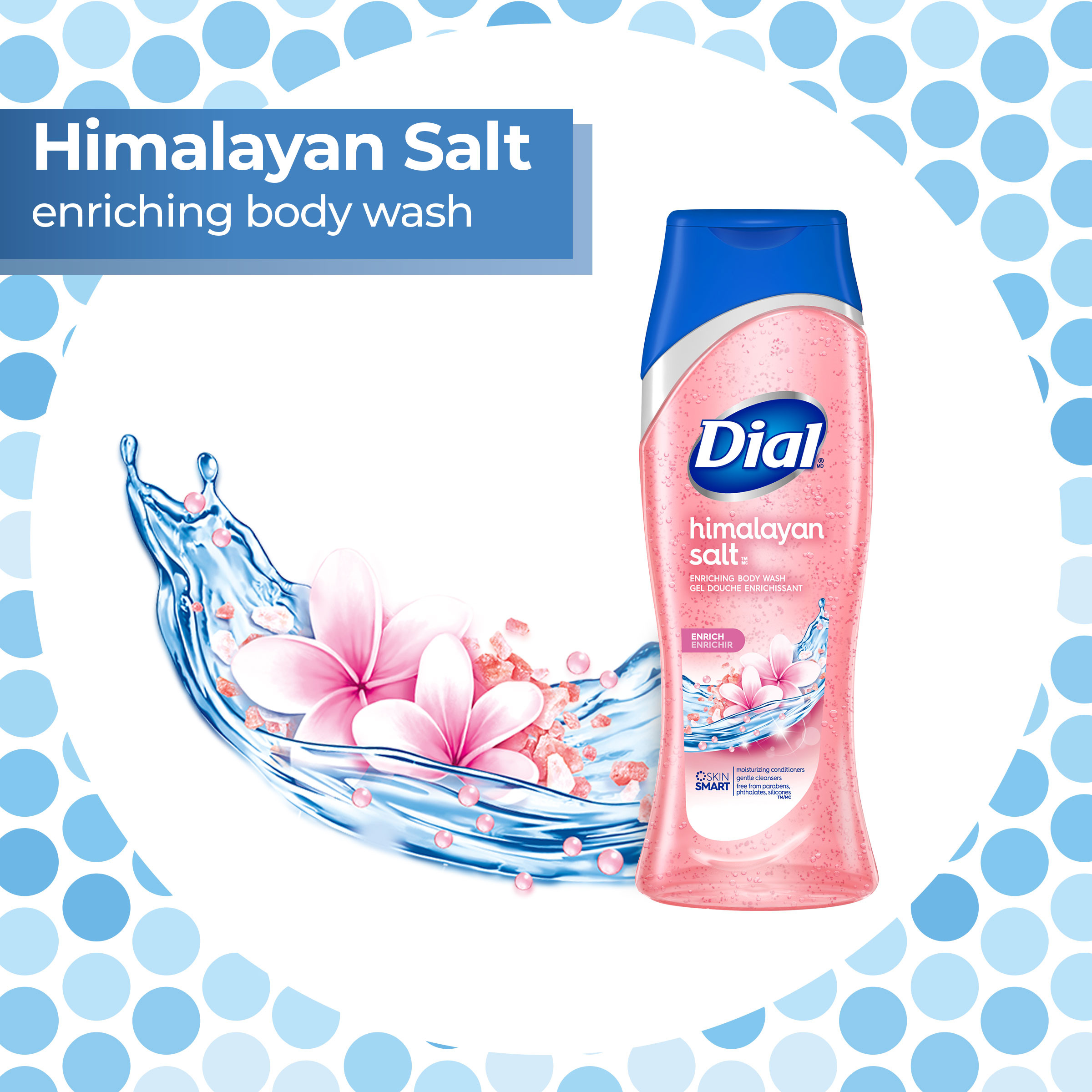 Dial Body Wash, Himalayan Salt, 16 fl oz