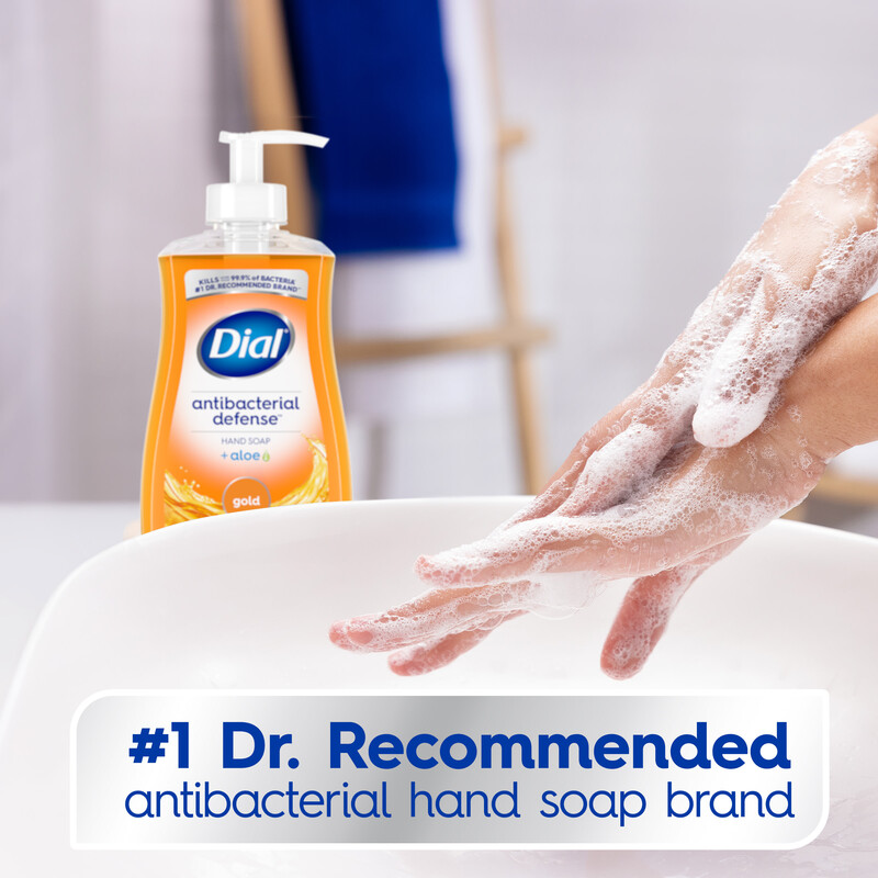 Dial Antibacterial Defense Gold Liquid Hand Soap, 11 fl oz | Giant