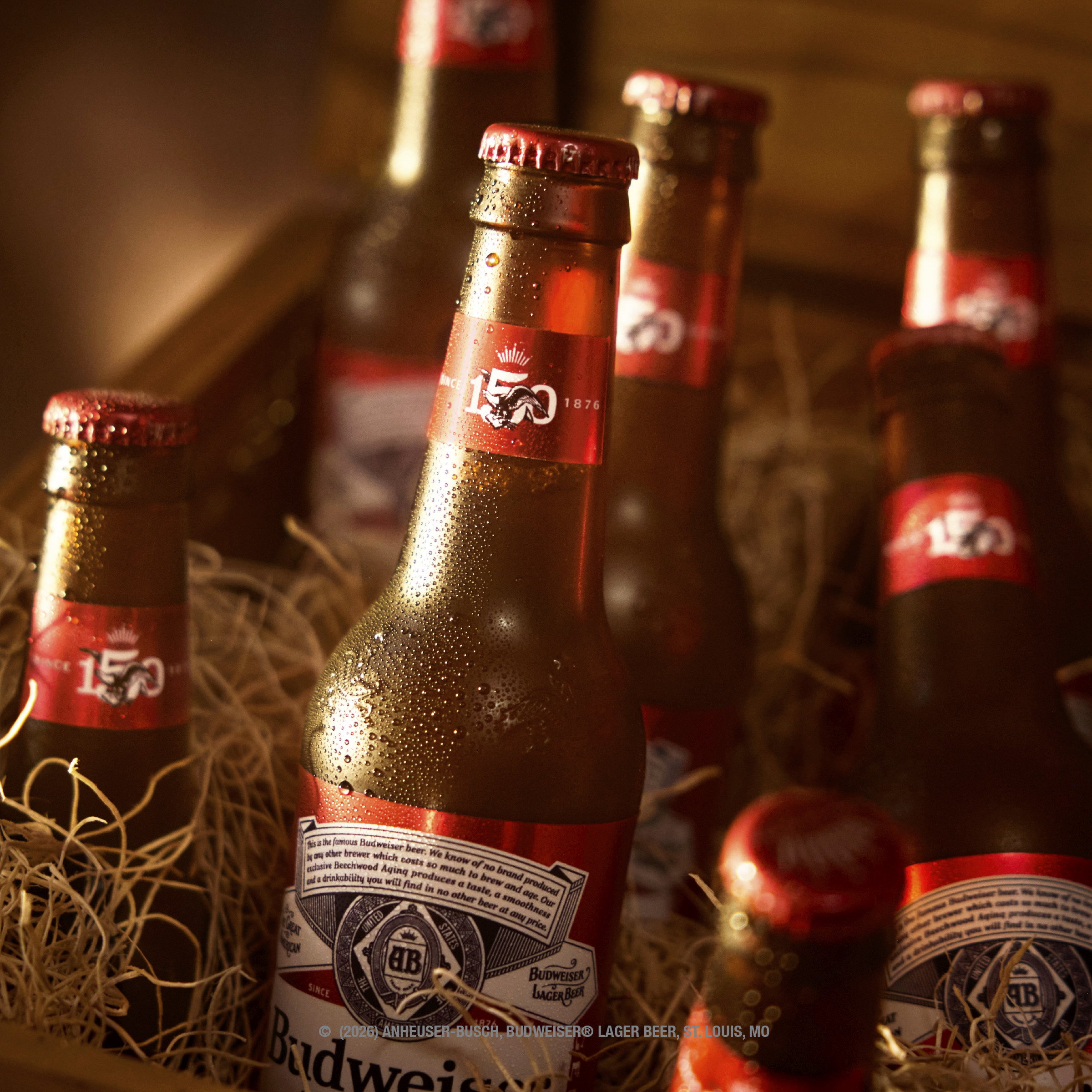 Budweiser American Lager Beer 16 fl oz Aluminum Bottle | Giant