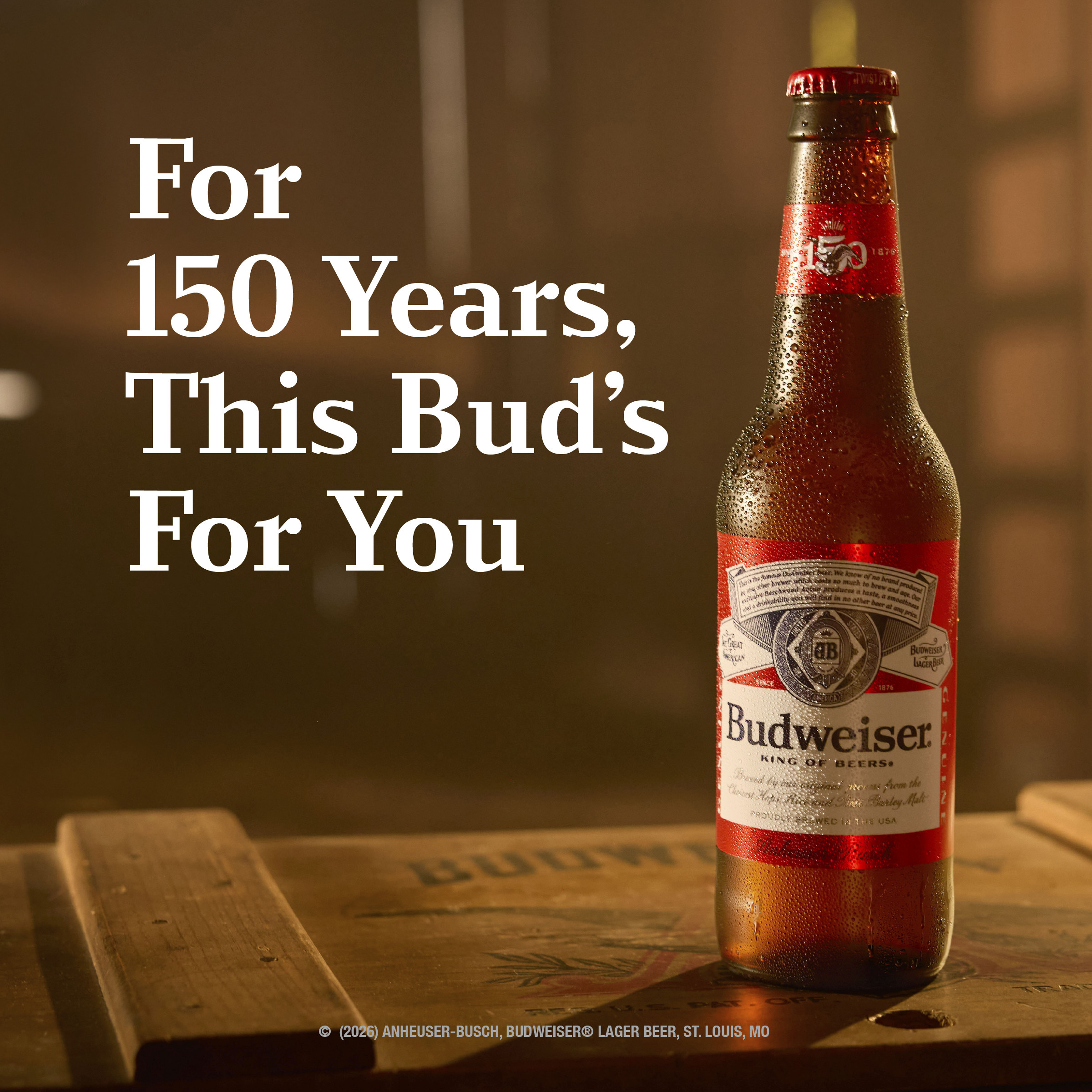 その他 Budweiser Juke Bottle Budweiser Budweiser 6 btl - Elevated Beer Wine