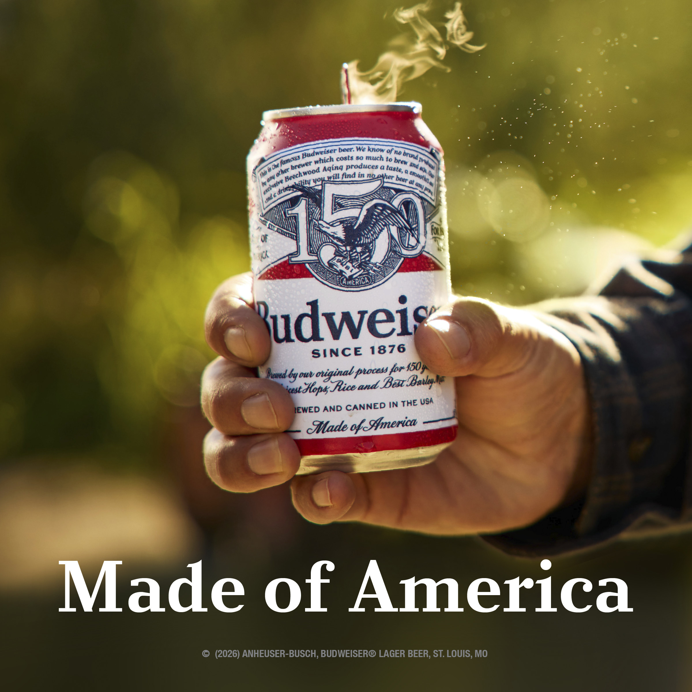 Budweiser American Lager Beer 12 Pack, 16 fl oz Cans | Giant Eagle