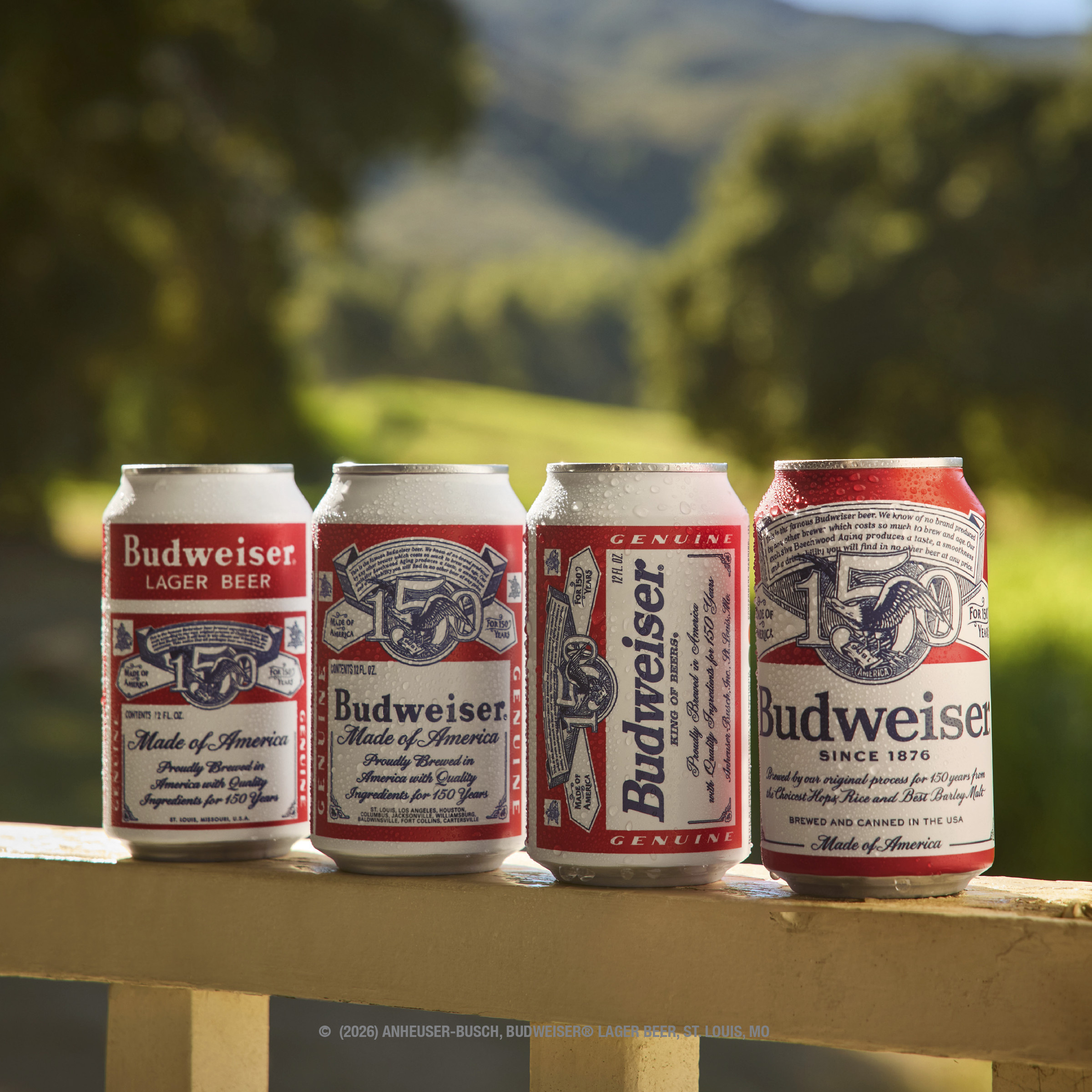 Budweiser American Lager Beer 12 Pack, 16 fl oz Cans | Giant Eagle