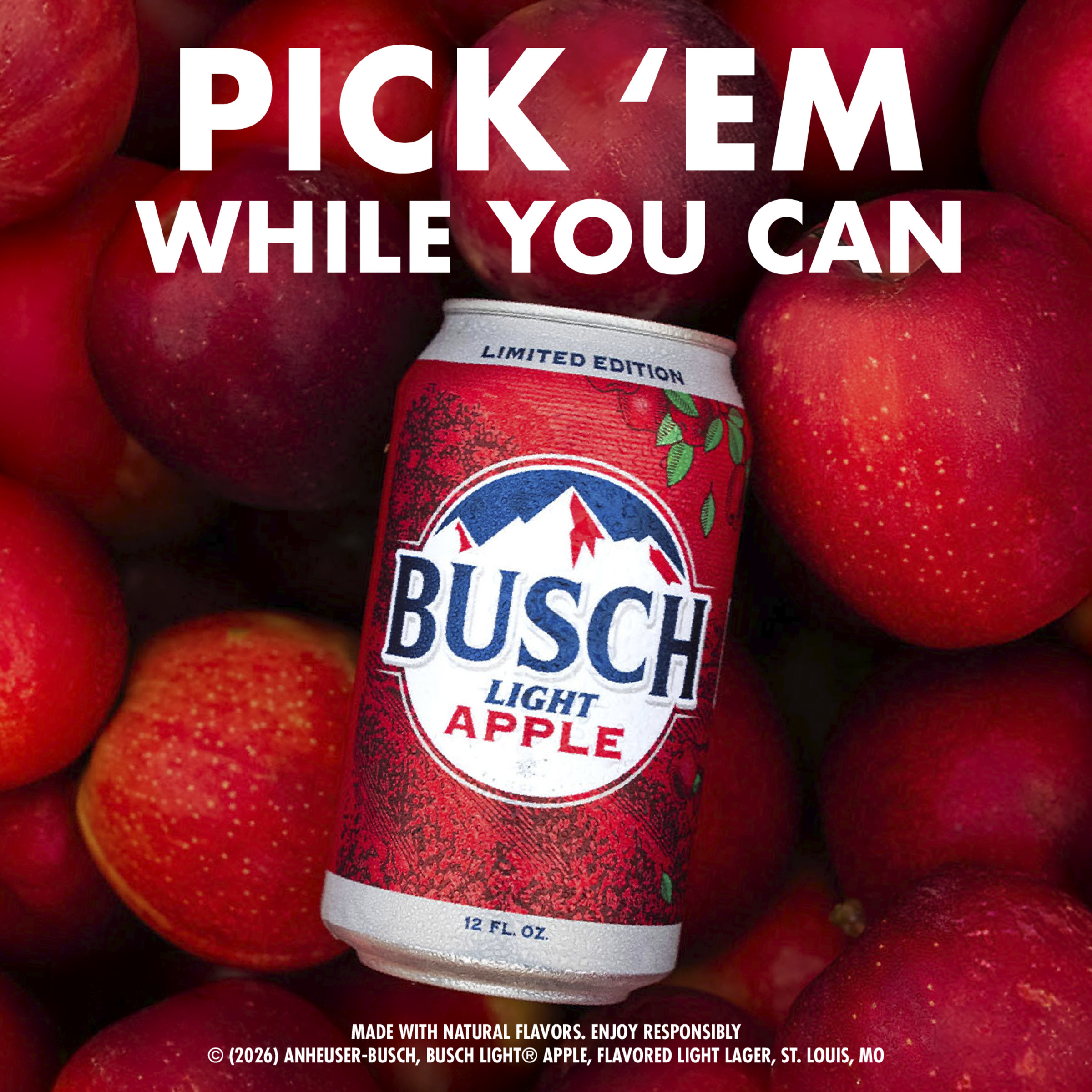  apple オイバ・トイッカ ラスター アップル Busch Light Apple American Lager Beer 12 pack, 12 fl oz Cans