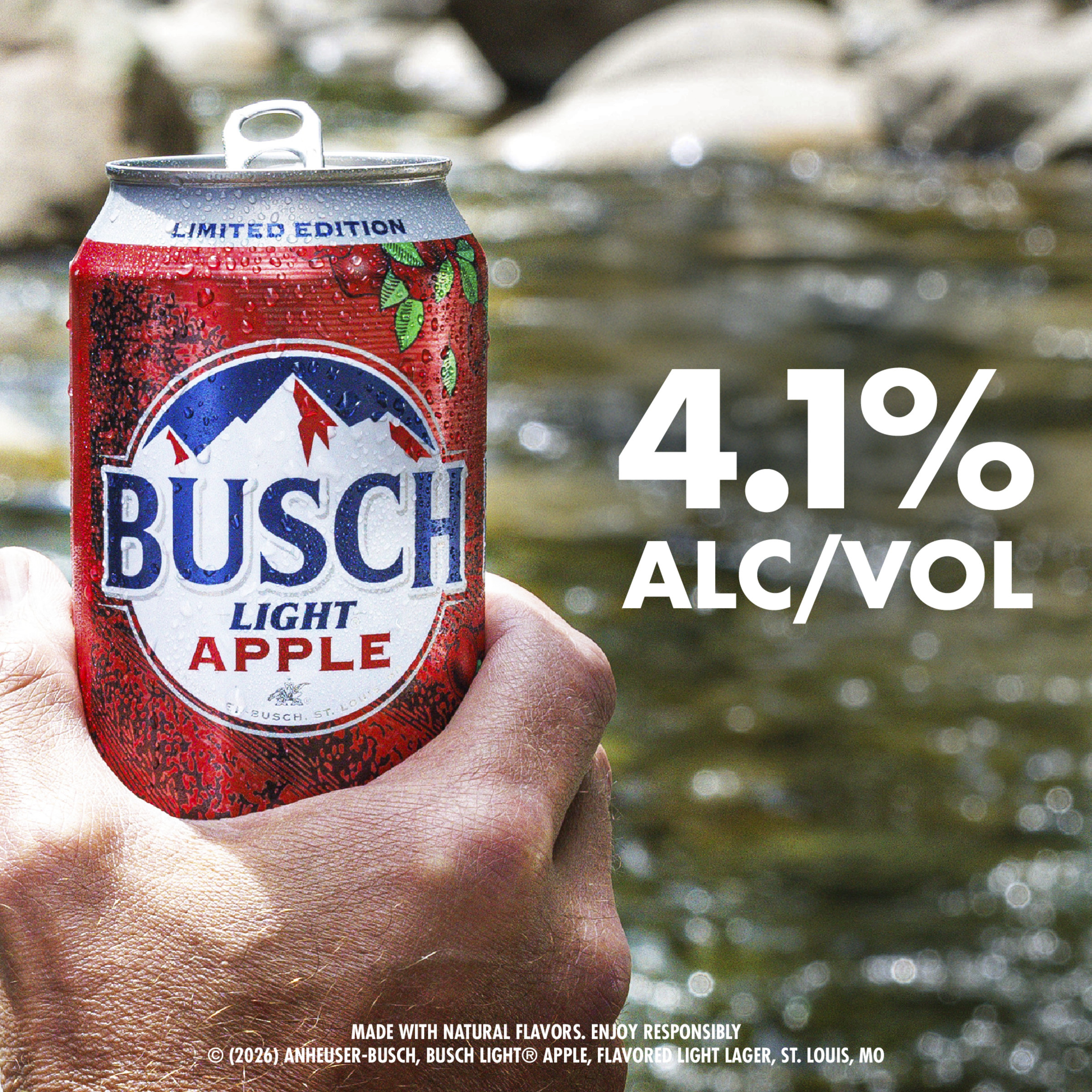 Busch Light Apple American Lager Beer 12 pack, 12 fl oz Cans