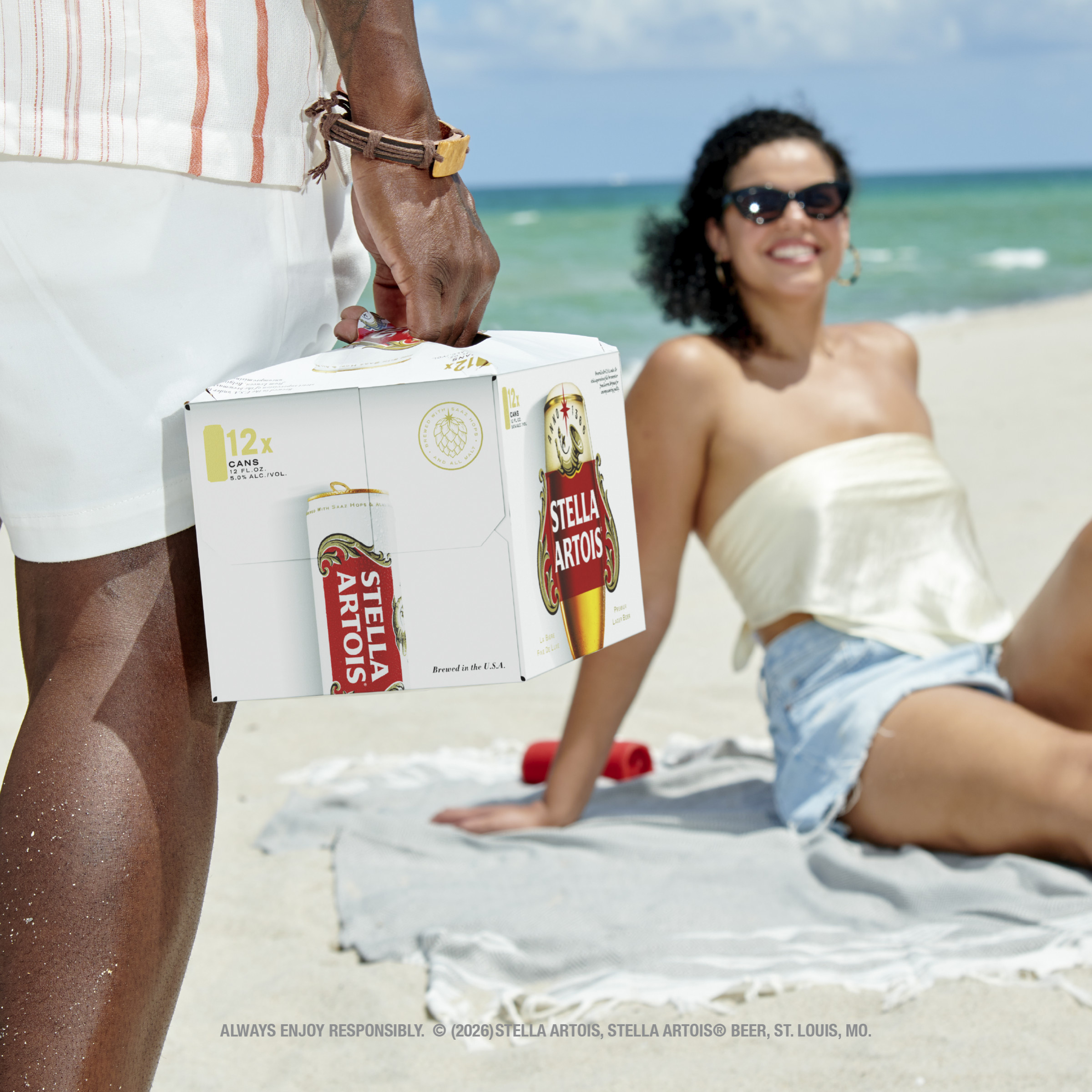 Stella Artois Premium Lager Beer, 12 Pack, 12 fl oz cans, 5% ABV