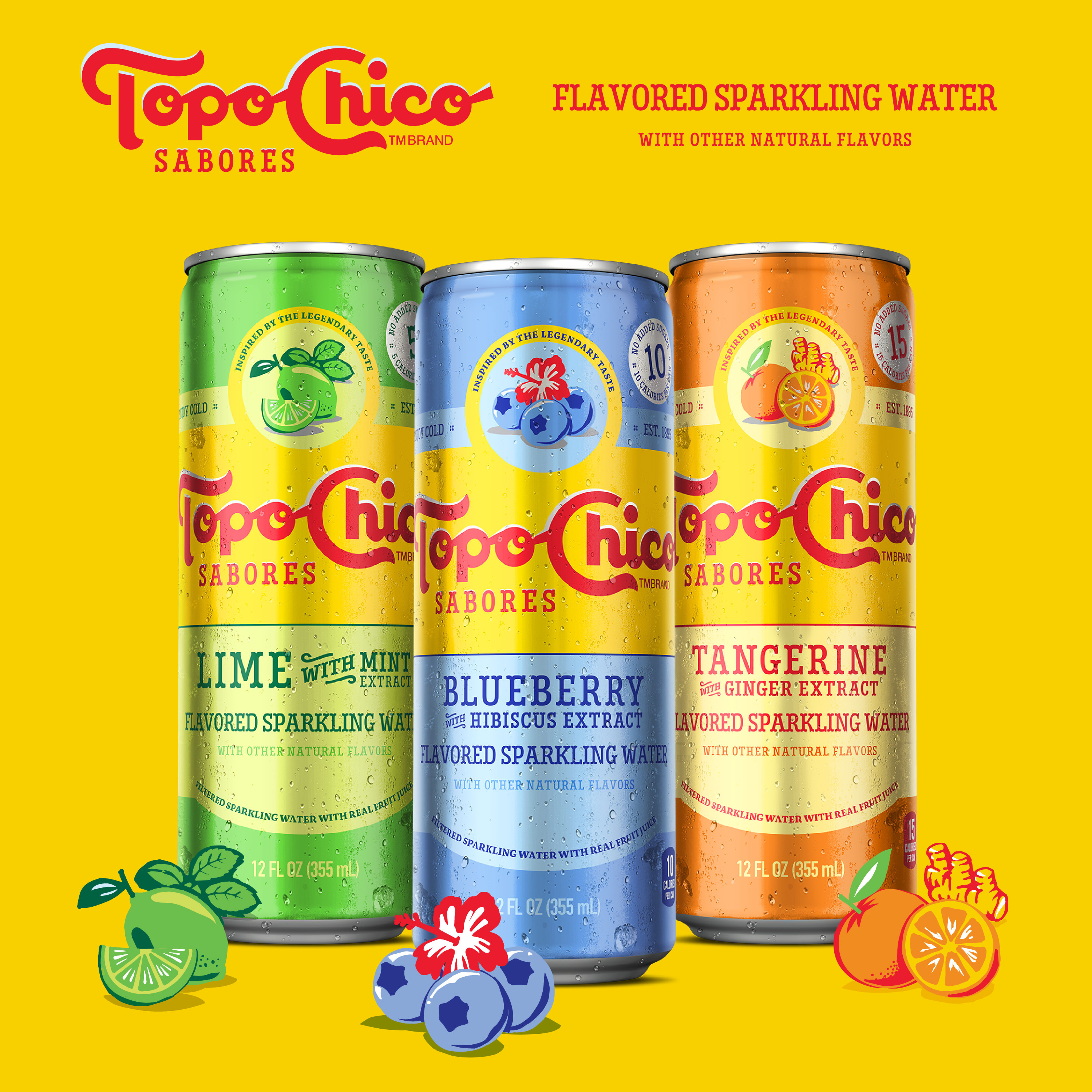 Topo Chico Sabores Blueberry With Hibiscus Extract Cans, 12 fl oz