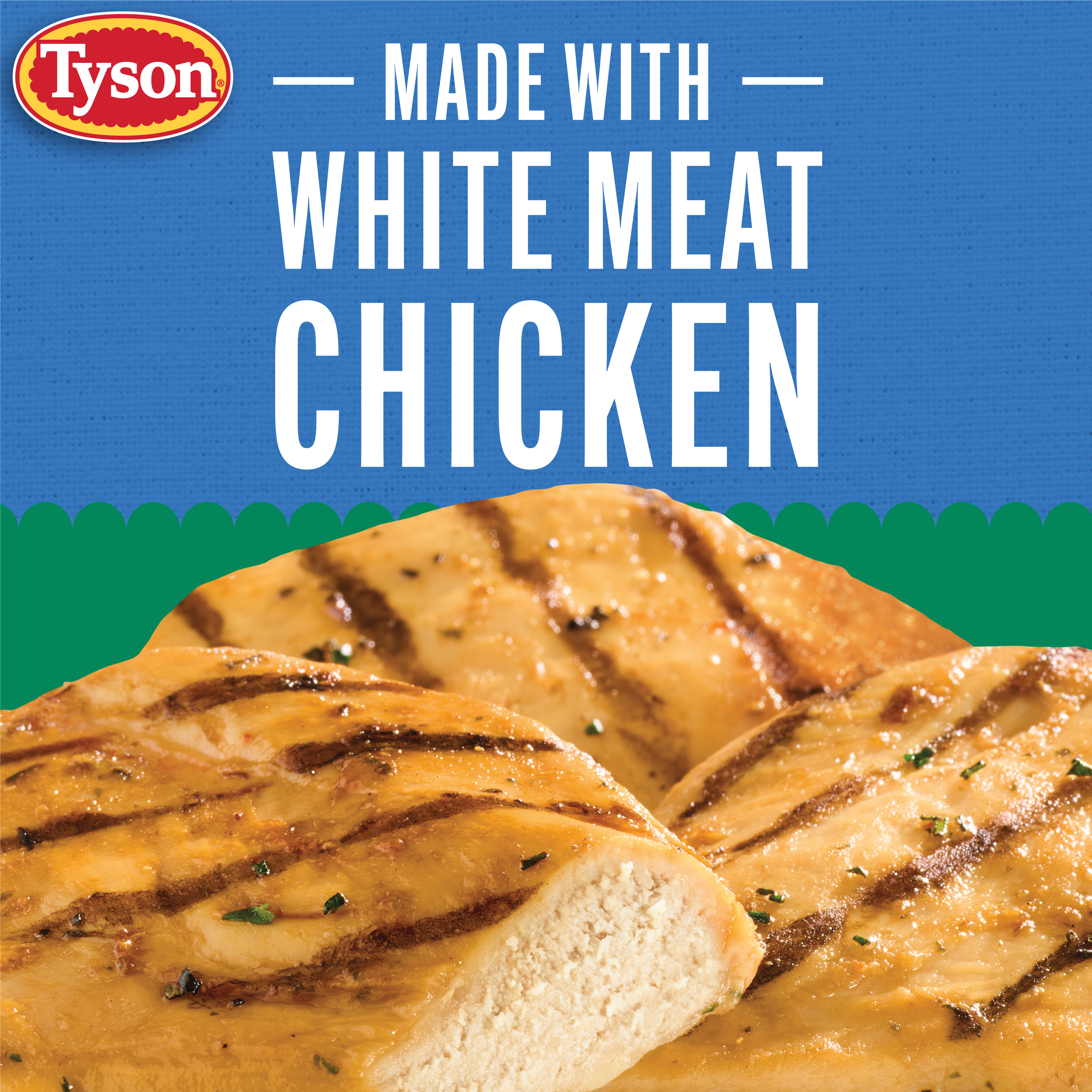Tyson Frozen Grilled Chicken Breast Fillets, 19 oz Giant Eagle