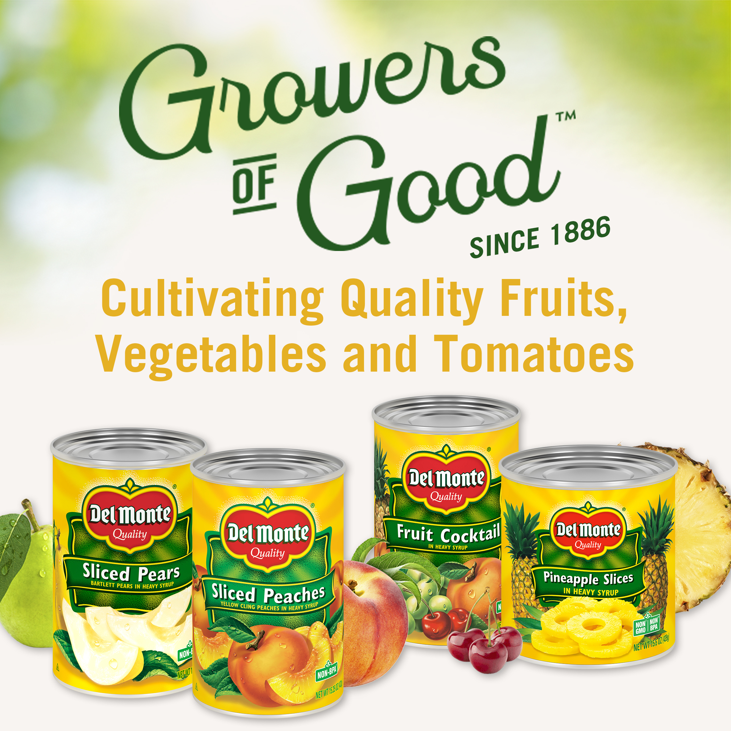 Del Monte Yellow Freestone Sliced Peaches, Canned Fruit, 15.25 oz
