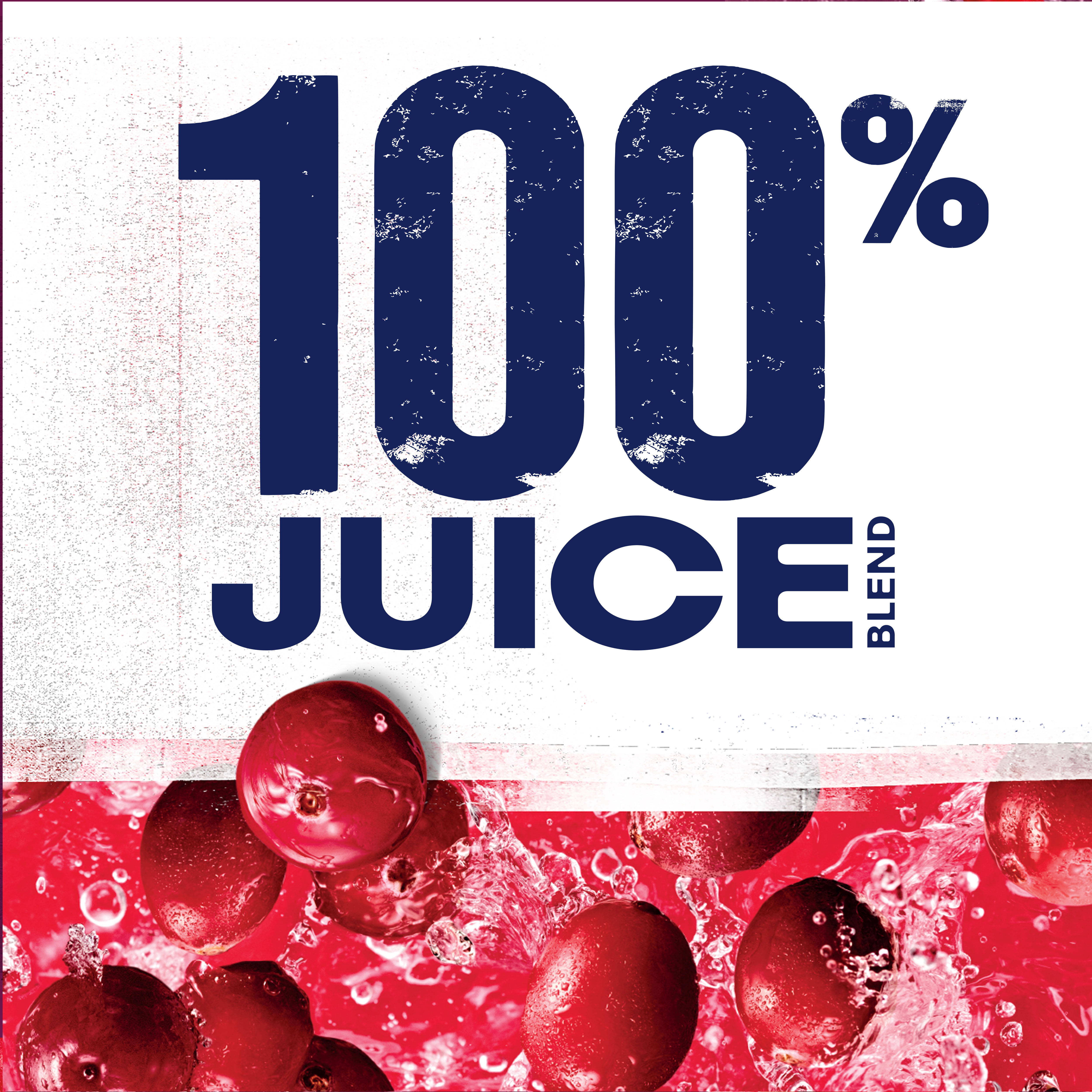 Ocean Spray® 100% Juice Cranberry Juice Blend, 10 Fl Oz Bottles, 6