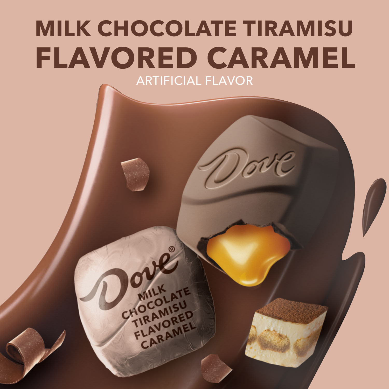 DOVE PROMISES Milk Chocolate Tiramisu Caramel Candy, 6.74 Oz Bag