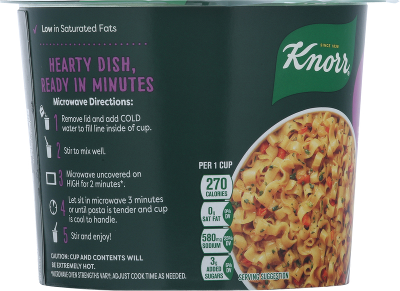 Knorr Pasta Cup, Teriyaki Noodles | Giant Eagle | Because It