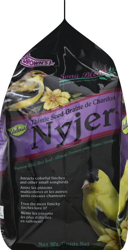 Will Thistle Bird Seed Grow: Expert Tips for Successful Planting