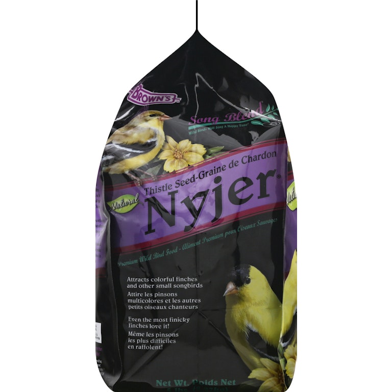 Will Thistle Bird Seed Grow: Expert Tips for Successful Planting