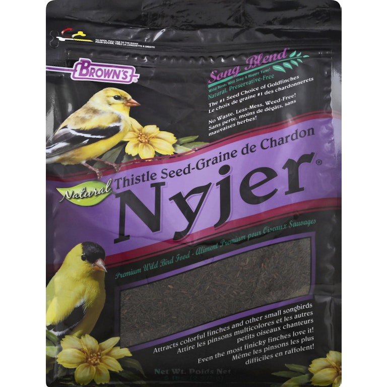 Does Thistle Bird Seed Grow: Ultimate Guide to Successful Planting
