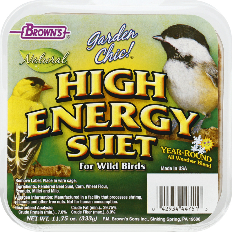 What to Feed Wild Birds in Spring: Essential Tips