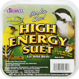 What to Feed Wild Birds in Spring: Essential Tips