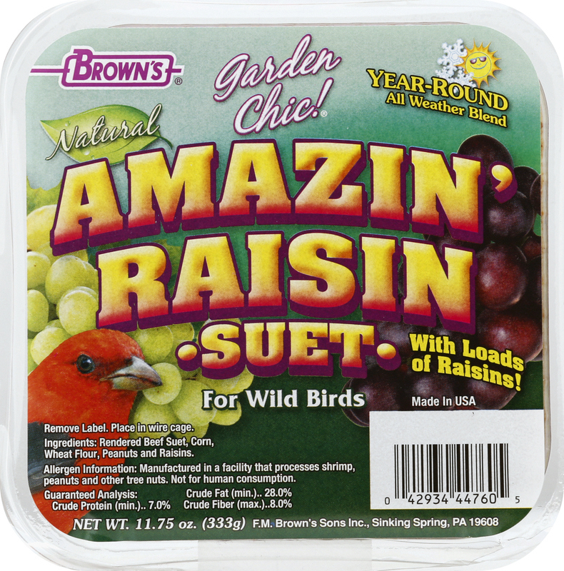 Can Raisins Attract Birds: Surprising Facts You Must Know
