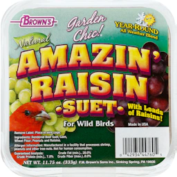 Can Raisins Attract Birds: Surprising Facts You Must Know