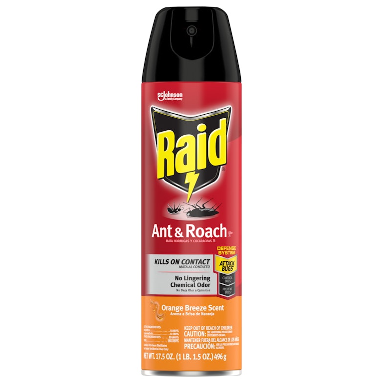 Is Raid Ant Spray Effective: Proven Tips to Eliminate Ants Fast