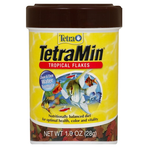 Balanced Diet for Tropical Fish: Essential Tips for Vibrant Health