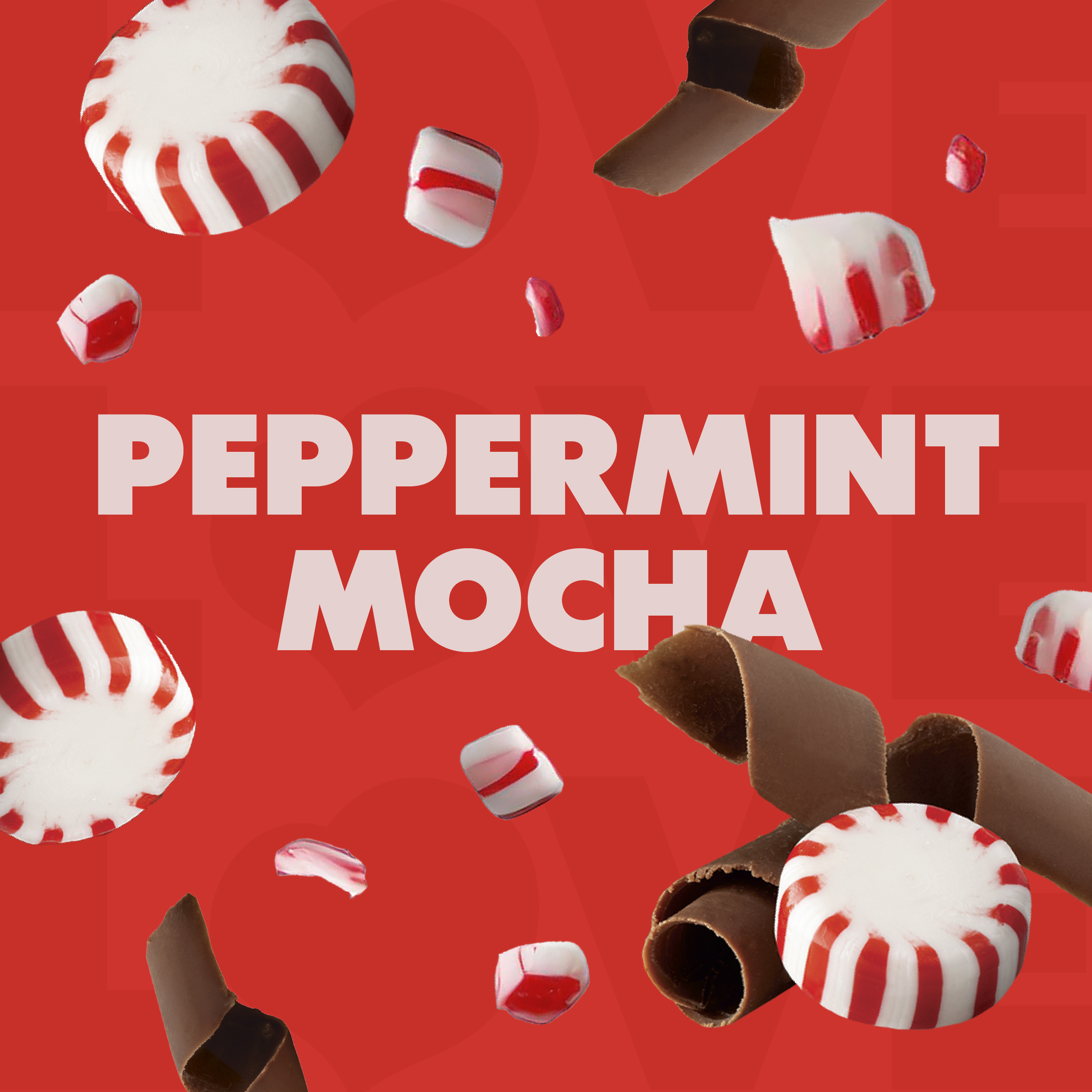 Coffee mate Peppermint Mocha Flavored Coffee Creamer, Zero Sugar