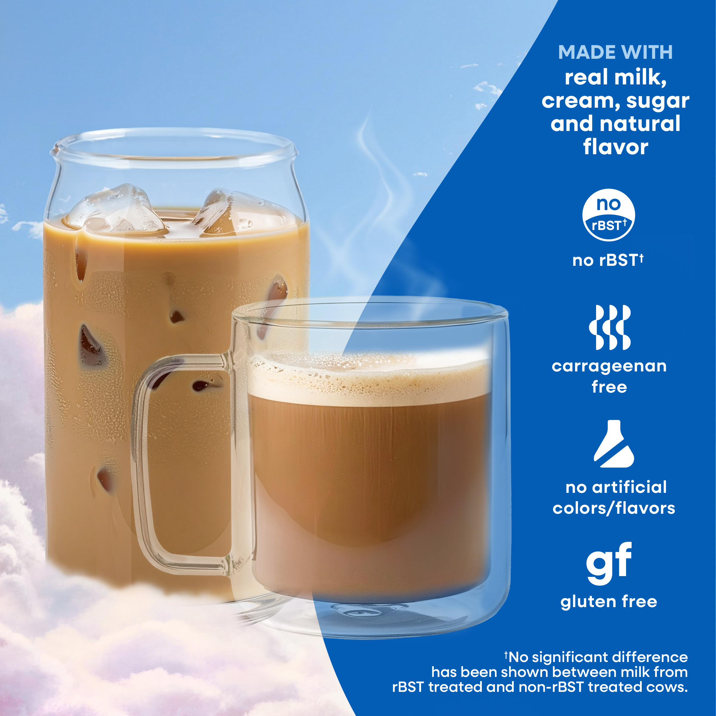 natural bliss Vanilla Flavored Creamer, Gluten Free Creamer, Iced