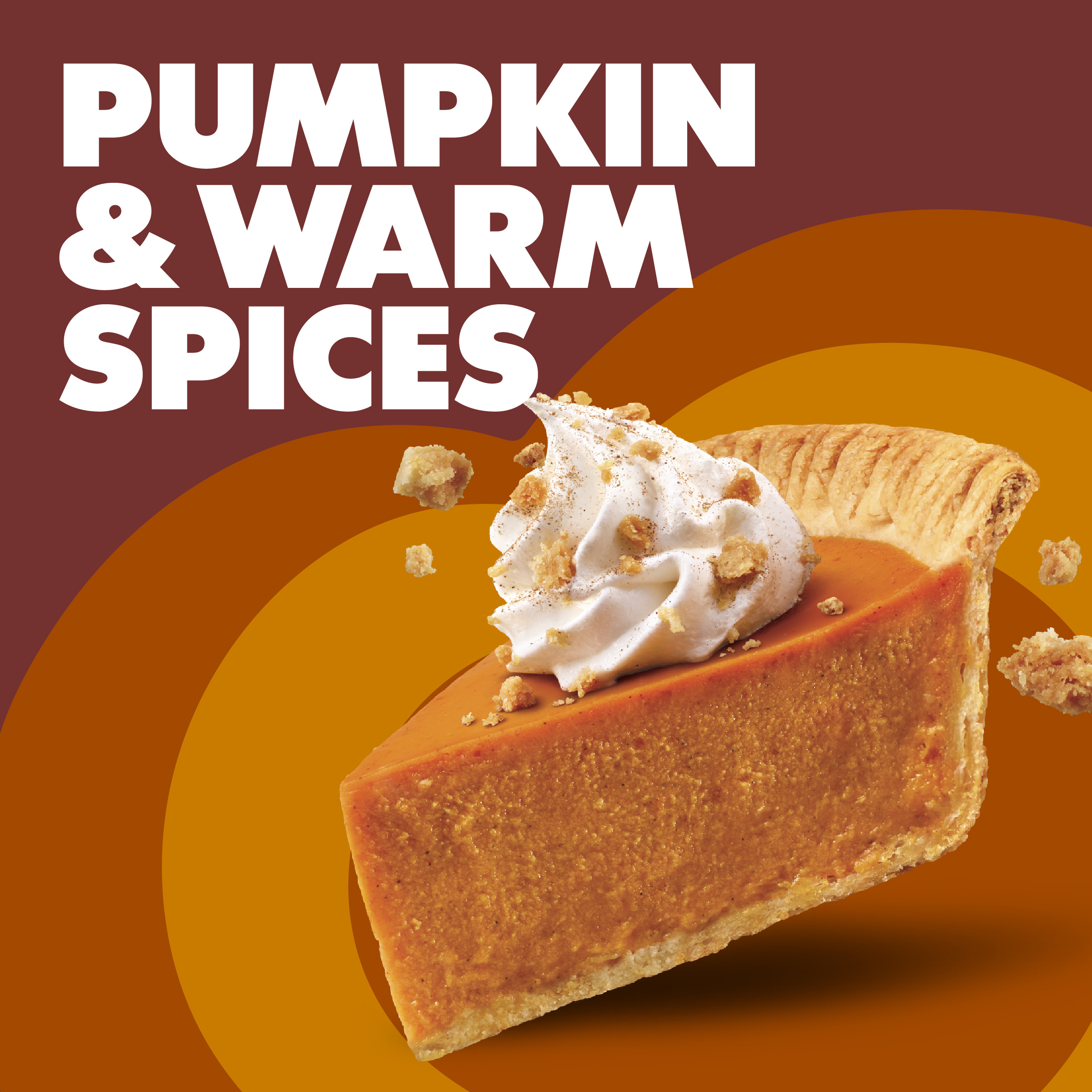 Coffee mate Pumpkin Spice Flavored Creamer, Liquid Coffee Creamer