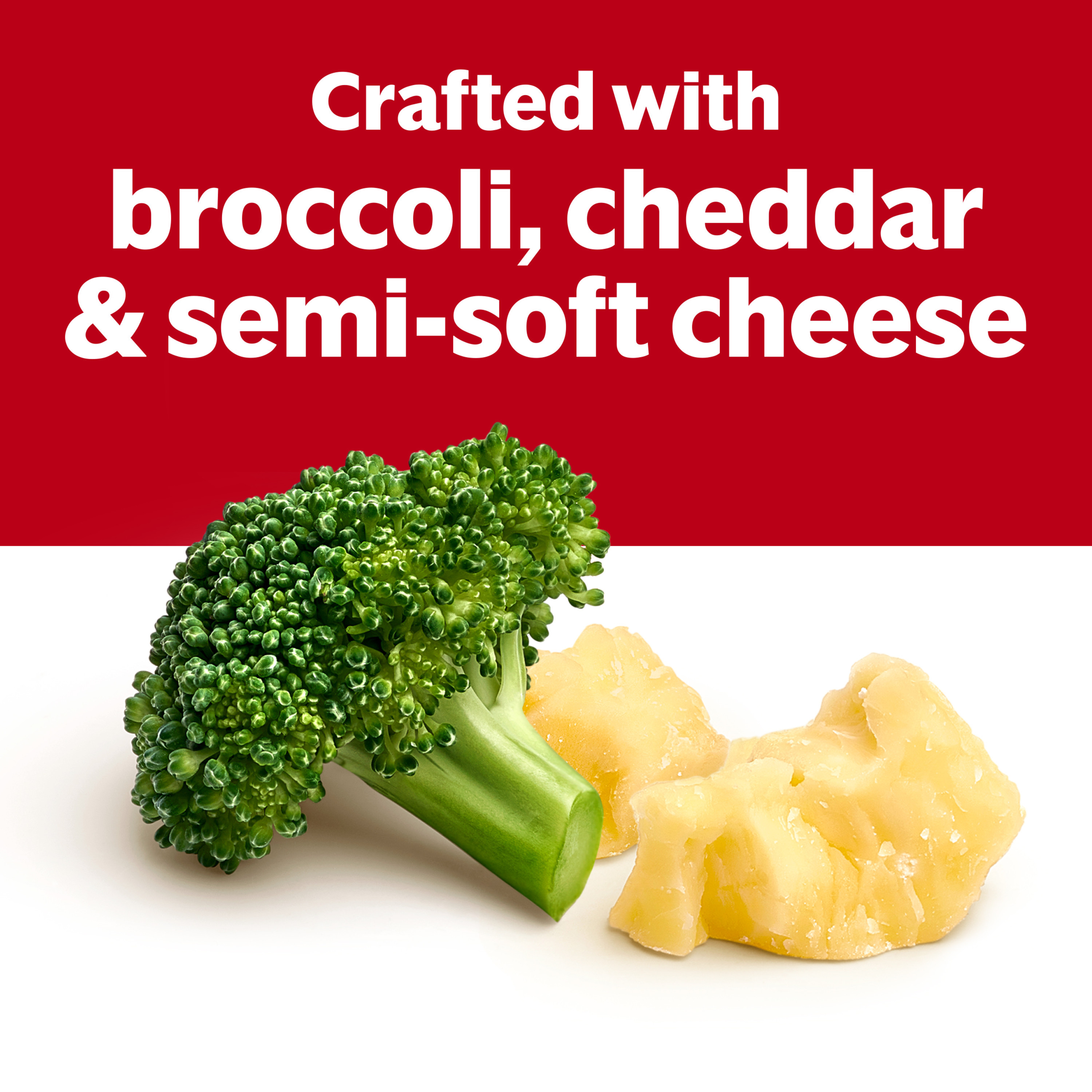 Campbell's Condensed Broccoli Cheese Soup, 10.5 oz Can | Giant