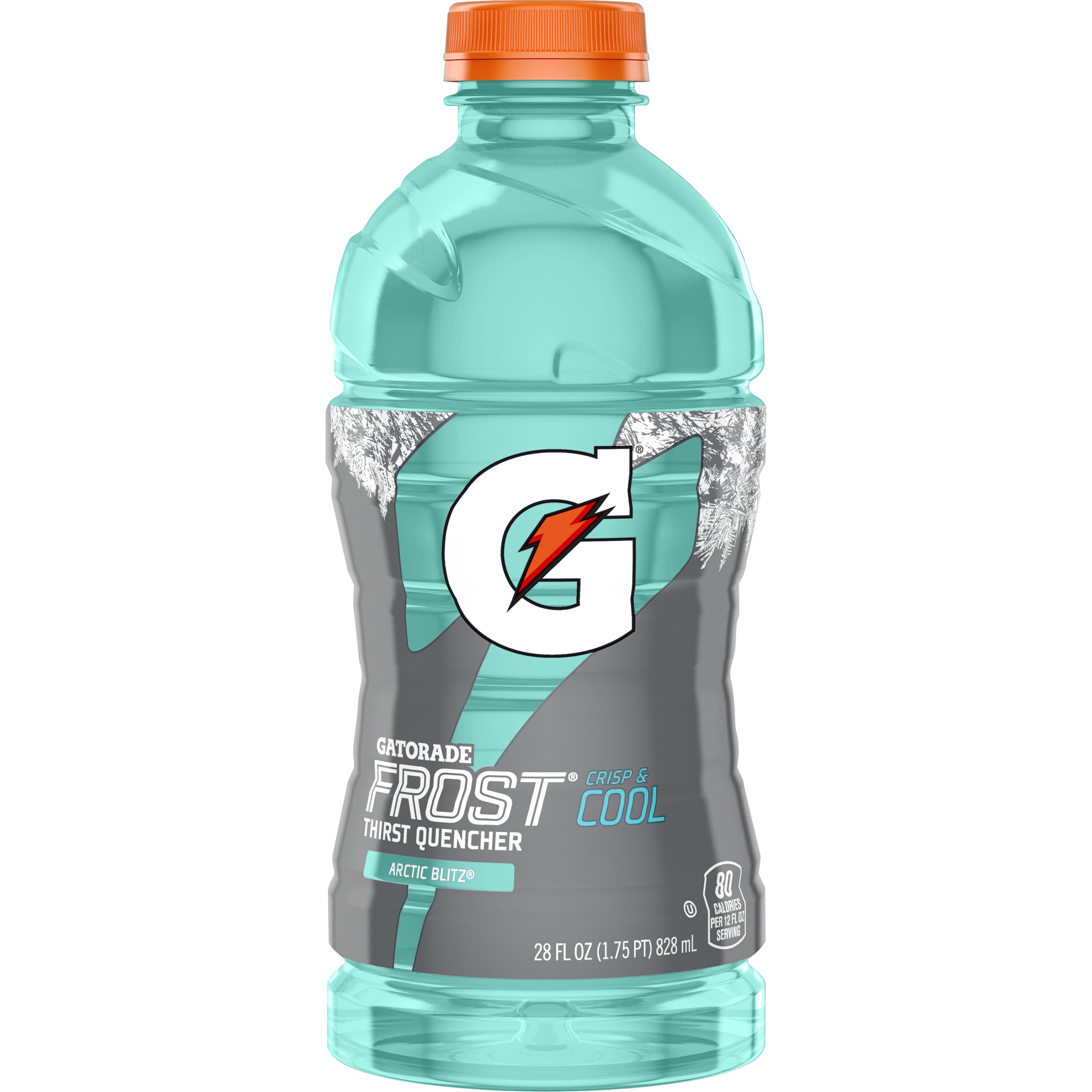 Gatorade Frost Thirst Quencher Arctic Blitz 28 Fl Oz Bottle