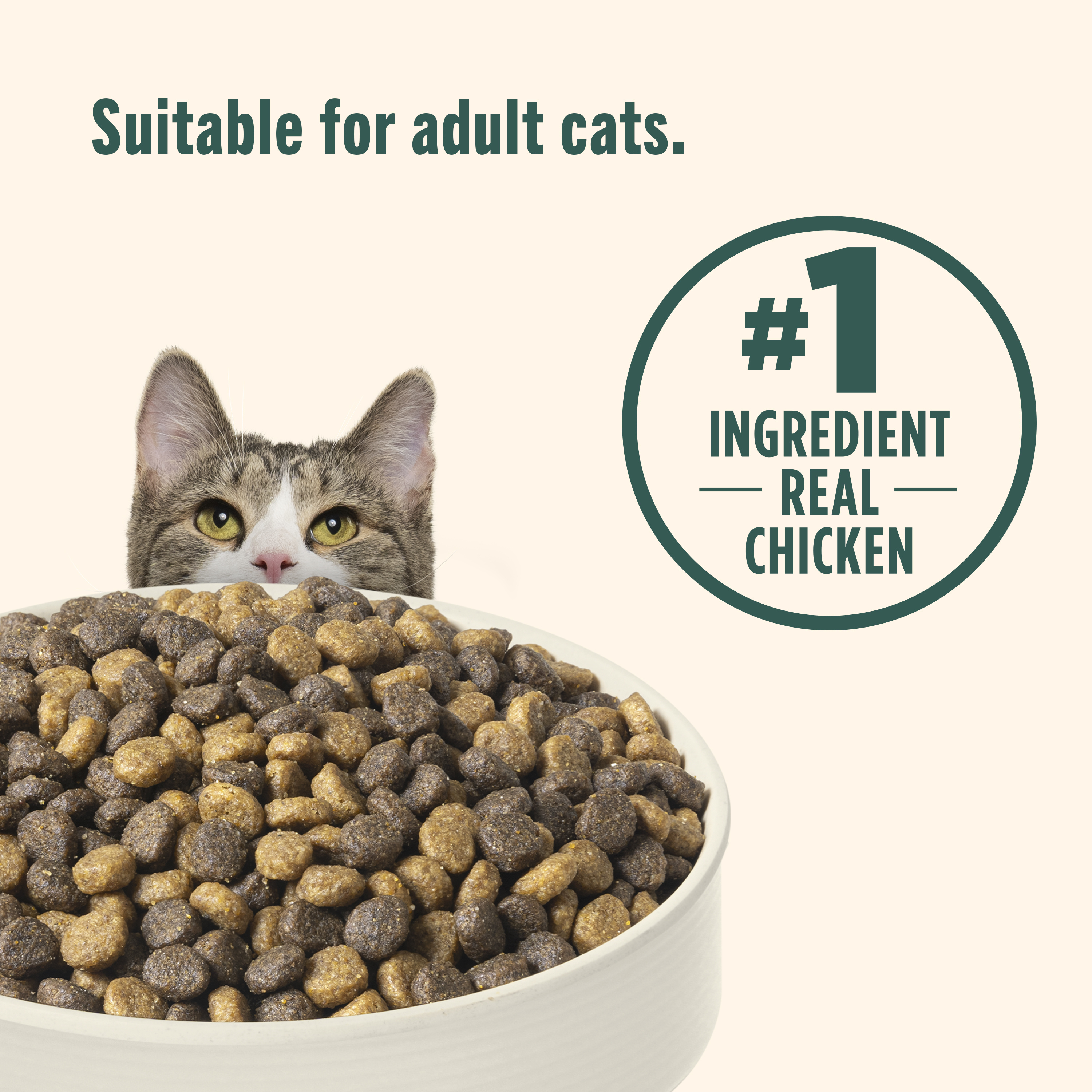 Nutrish Indoor Complete Chicken, Lentils Salmon Recipe Dry Cat
