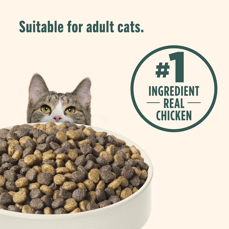 Nutrish Indoor Complete Chicken, Lentils Salmon Recipe Dry Cat