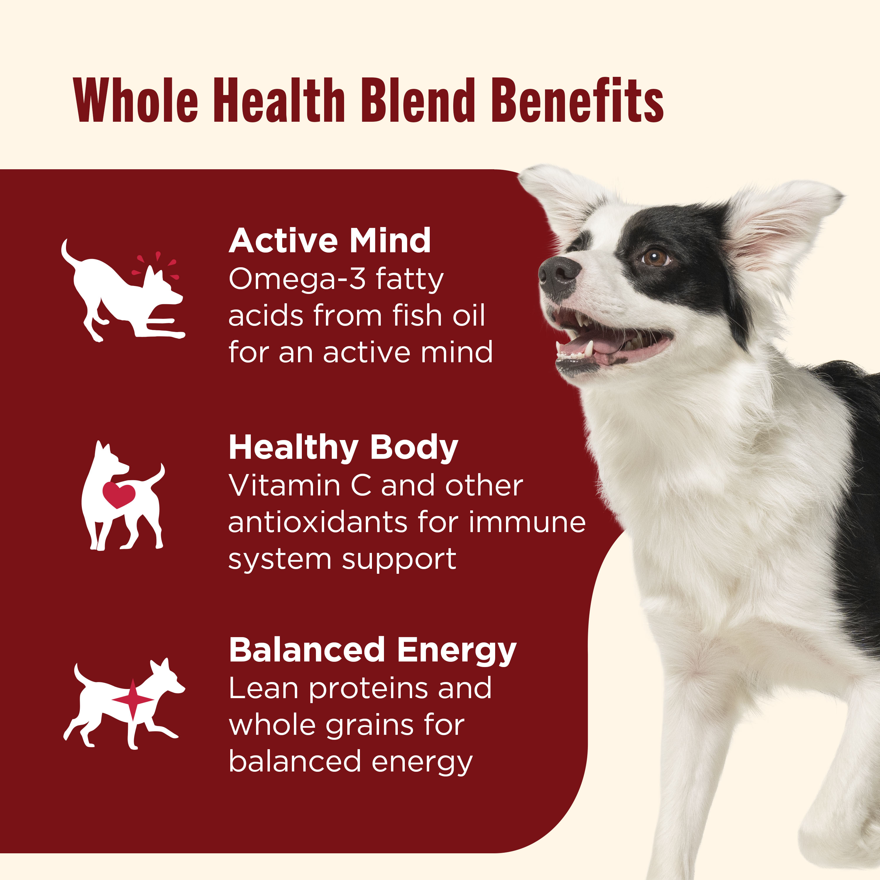 Nutrish Dry Dog Food Real Beef, Pea Brown Rice Recipe Whole