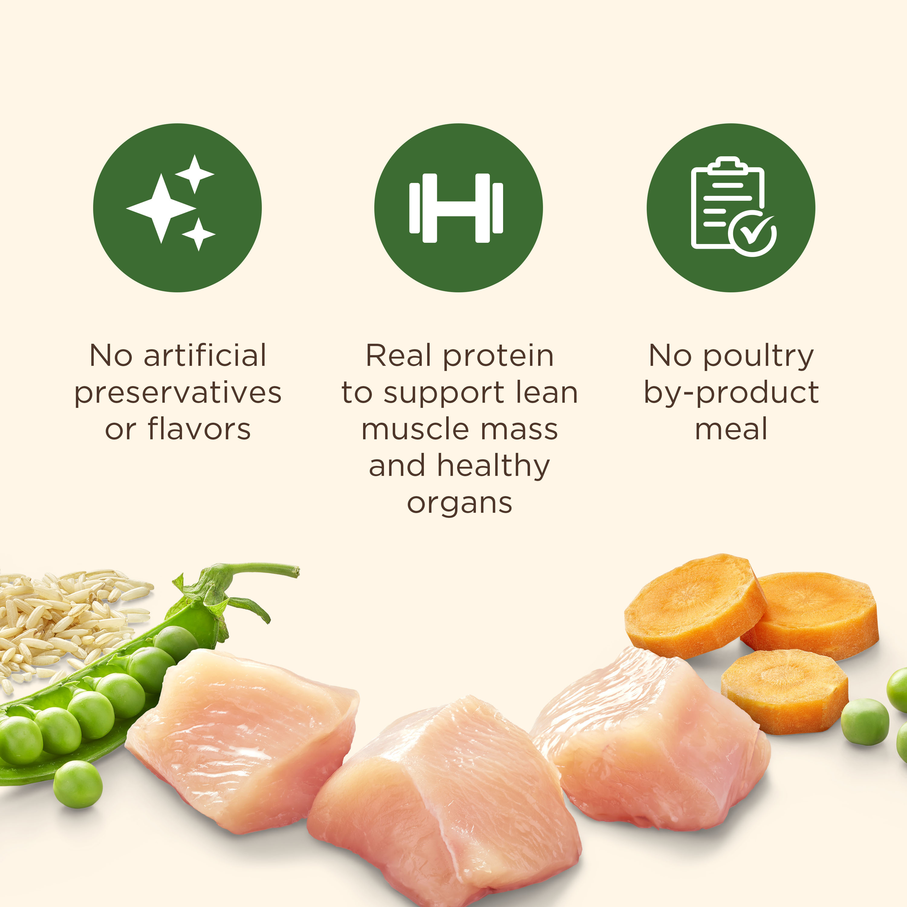 Nutrish Dry Dog Food Real Chicken & Veggies Recipe Whole Health