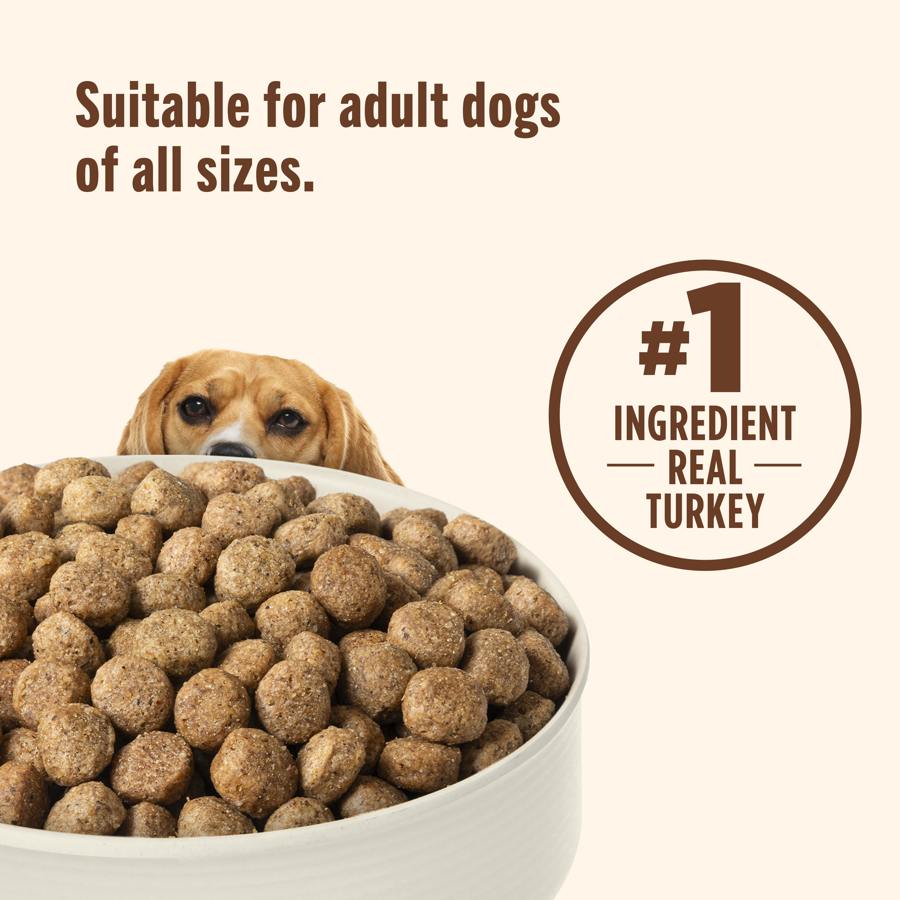 Nutrish Healthy Weight Real Turkey, Brown Rice & Venison Recipe