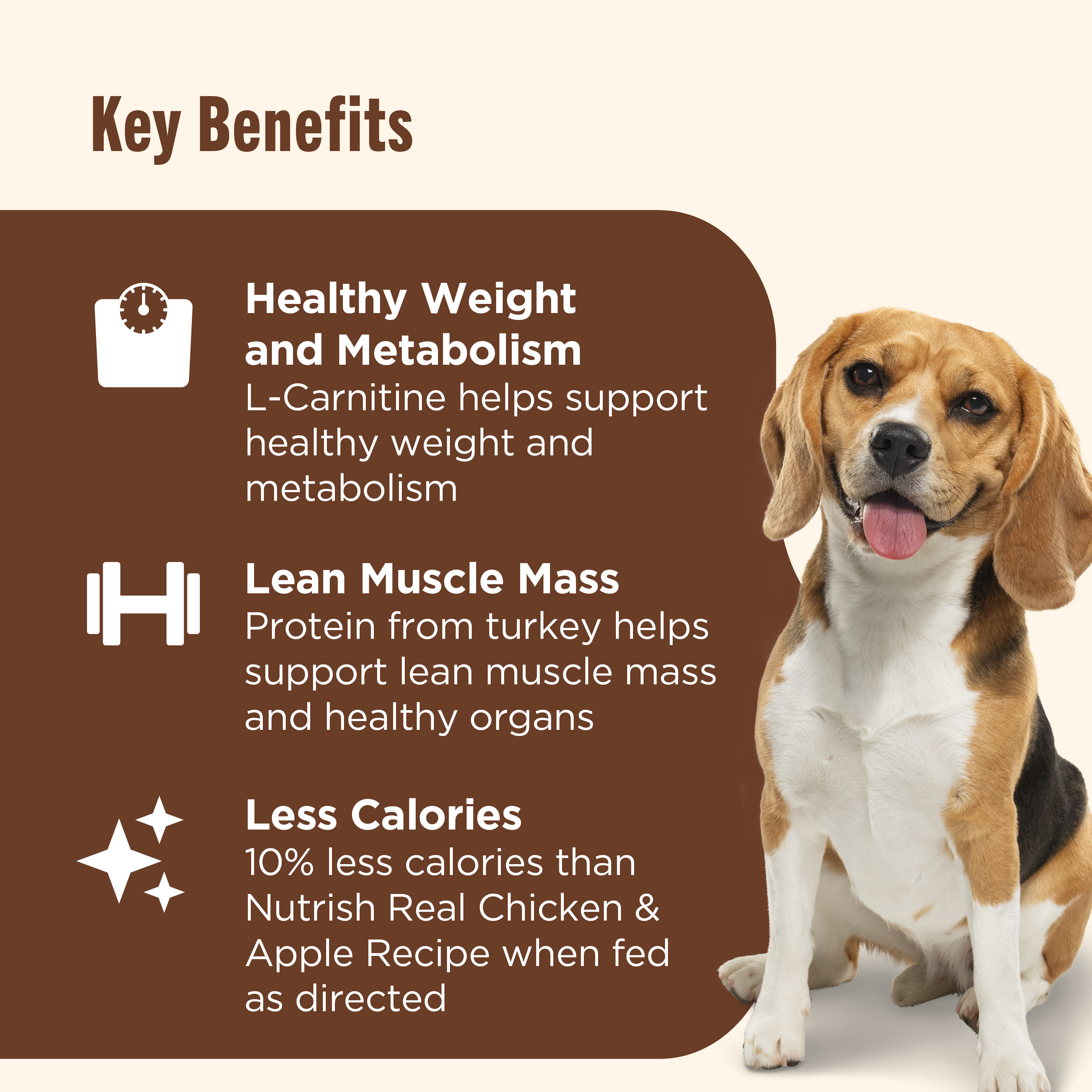 l-carnitine in puppy food Taurine Supplement for Dogs with & CoQ10 Taurine Boost