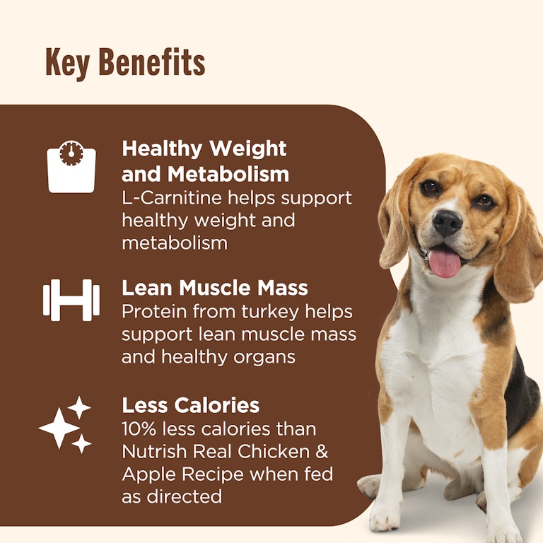 l-carnitine in puppy food Taurine Supplement for Dogs with & CoQ10 Taurine Boost