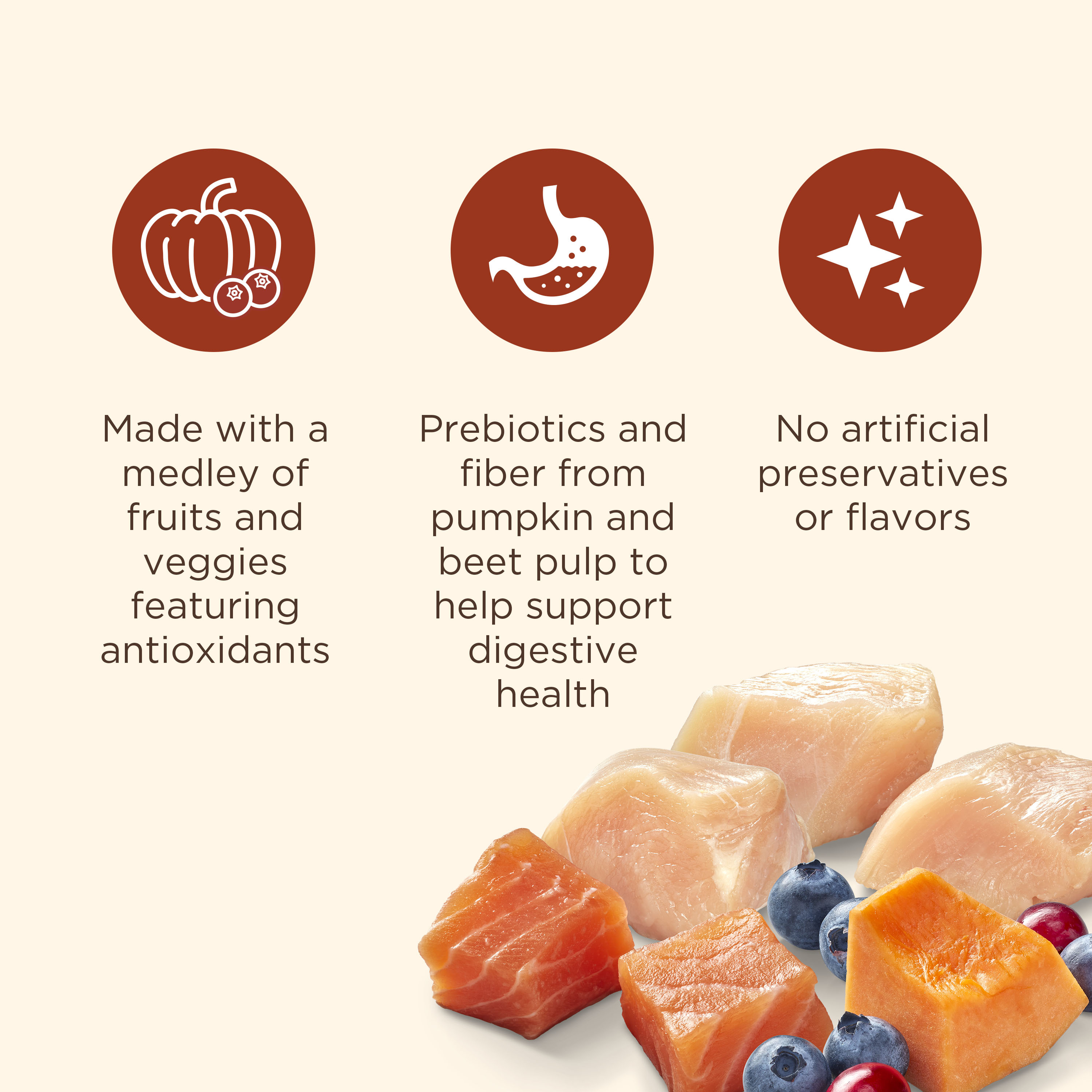 Nutrish Everyday Immune Support Chicken, Salmon, Blueberry