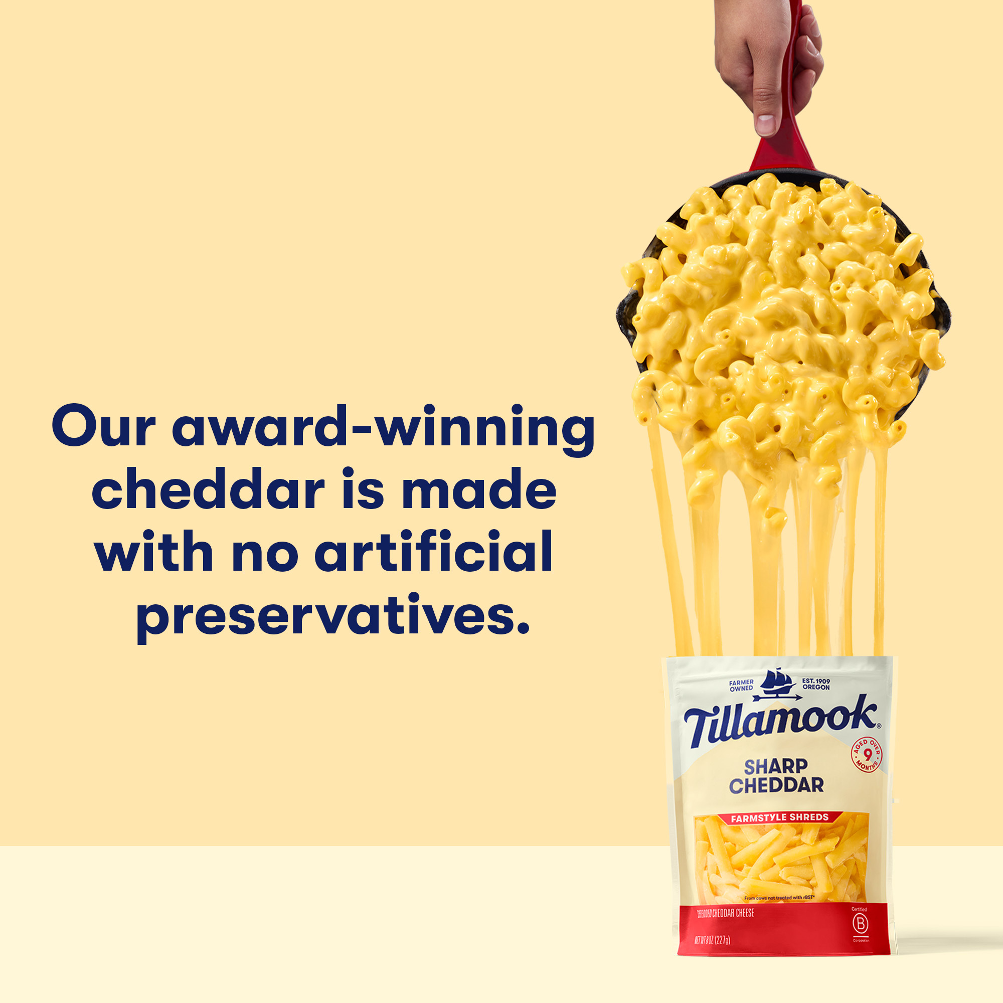 ドリカム　DELICIOUS MD Tillamook Tillamook Farmstyle Sharp Cheddar Shredded Cheese