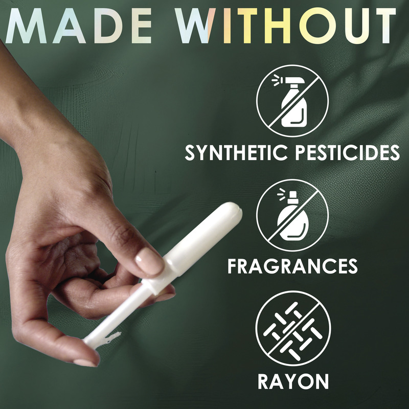 Petition · Save Sonoma State's WGS Department! - United States