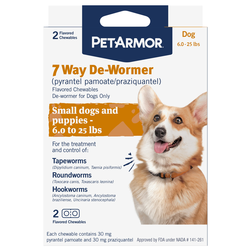 Active Ingredient in Dog Dewormer: Essential Guide