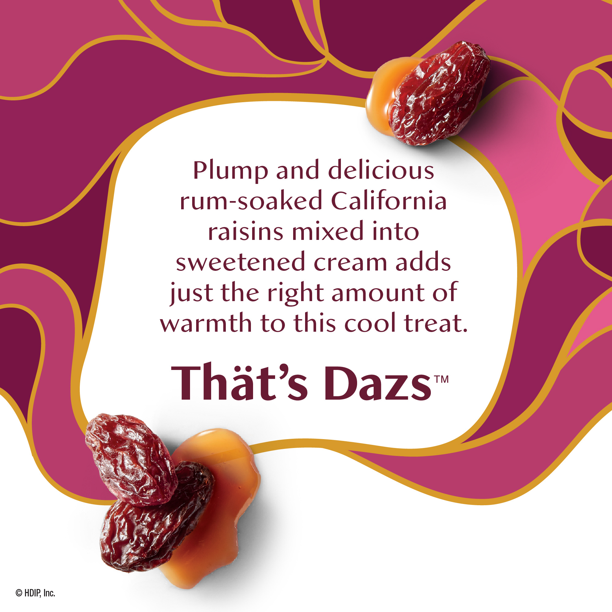 Häagen-Dazs Ice Cream, Rum Raisin | Giant Eagle | Because It
