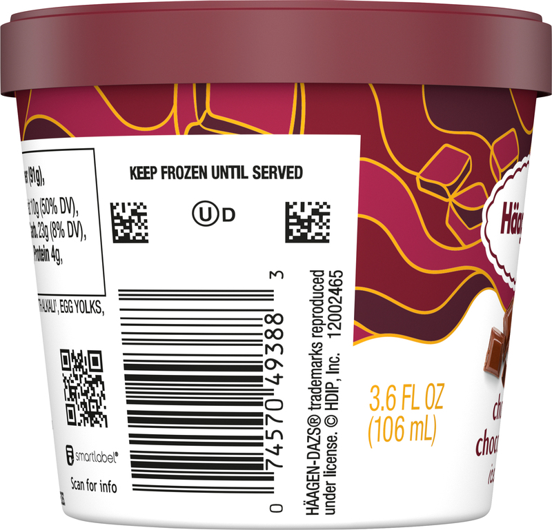 Haagen-Dazs Chocolate Chocolate Chip Ice Cream Cup, 3.6Oz | Giant
