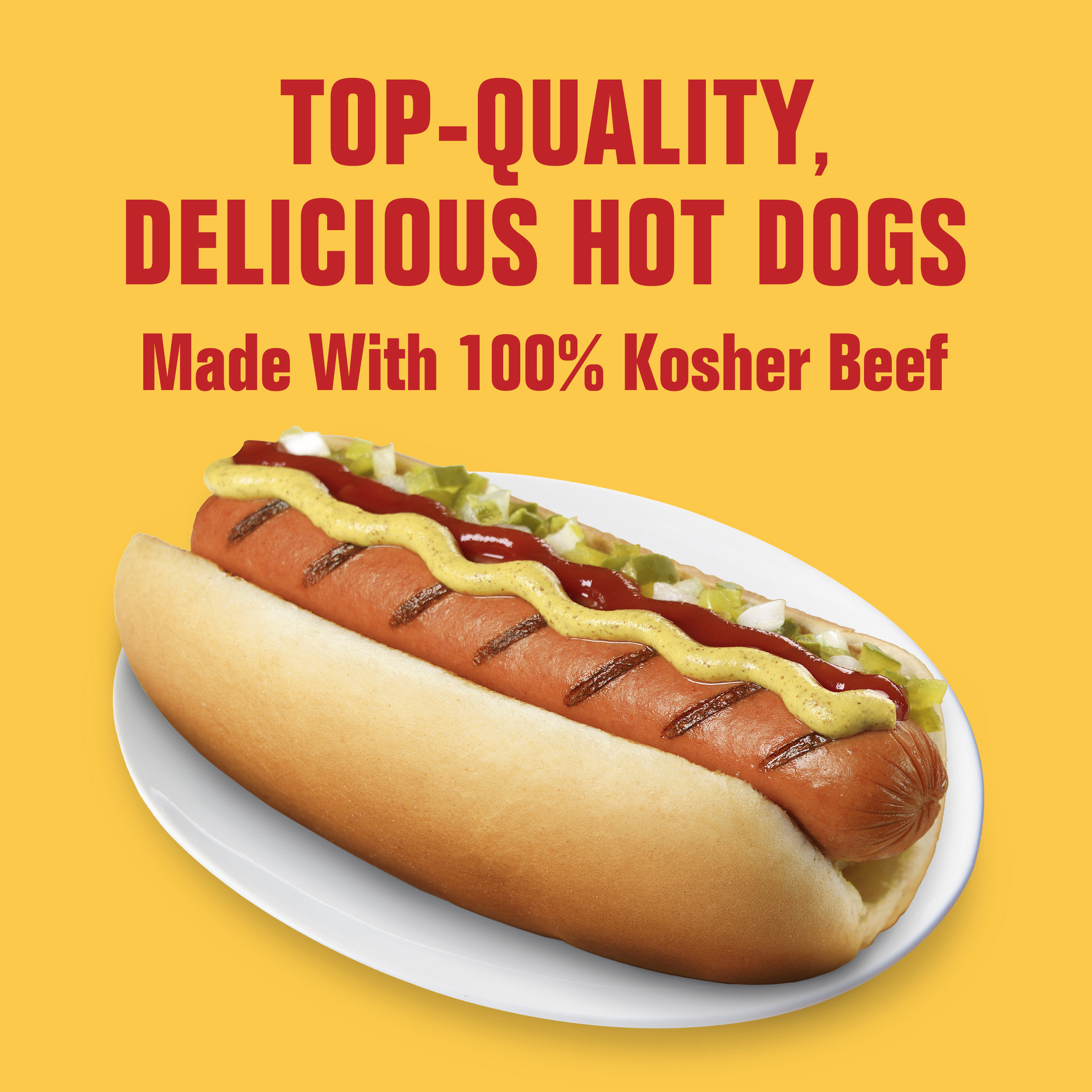 Hebrew National 100% Kosher Beef Franks, Hot Dogs, 10.3 oz. 6
