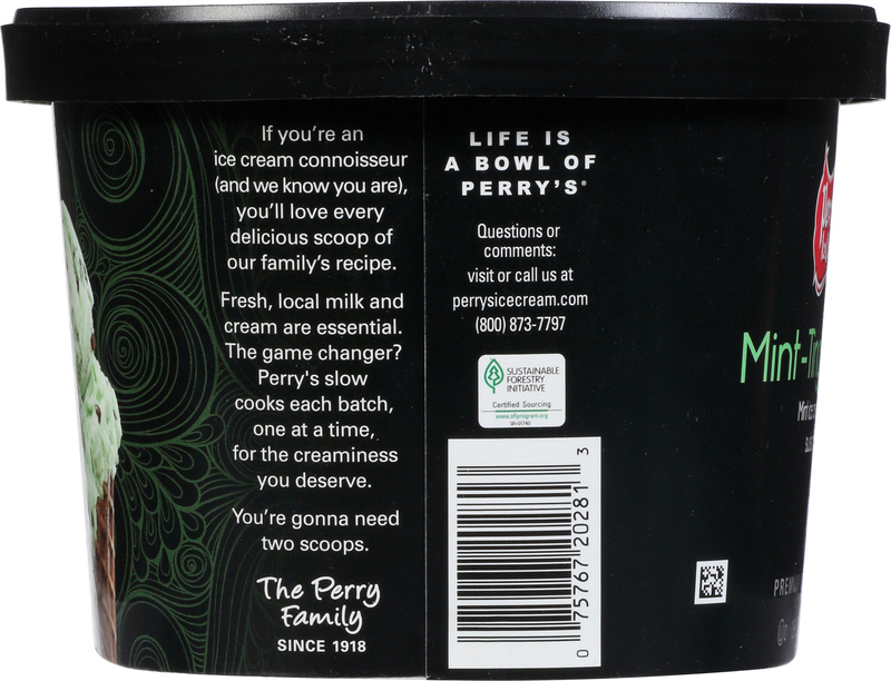 Perry's Ice Cream Ice Cream, Premium, Mint-Ting-A-Ling | Giant