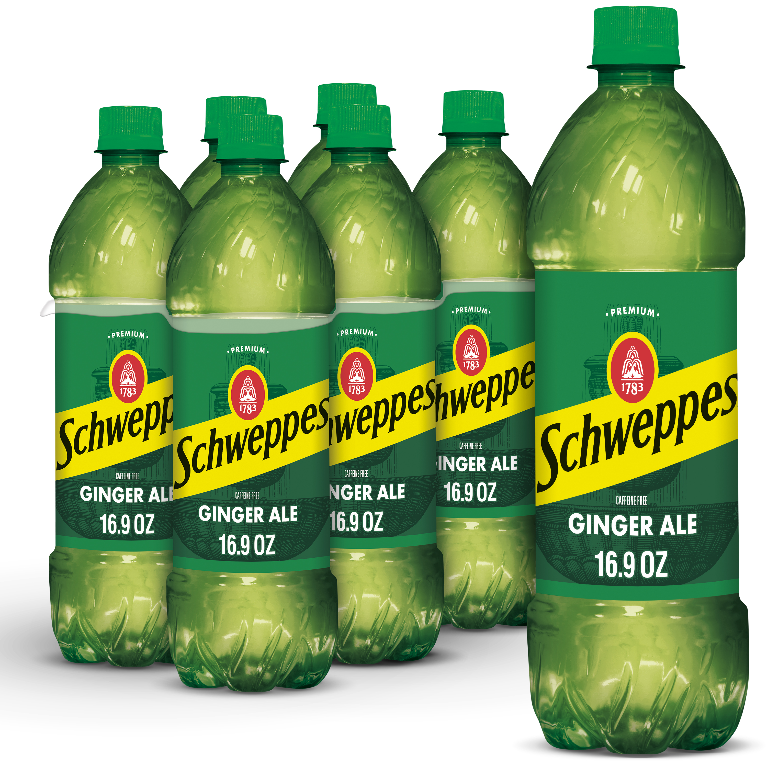 Schweppes Ginger Ale Soda, .5 L bottles, 6 pack | Giant Eagle